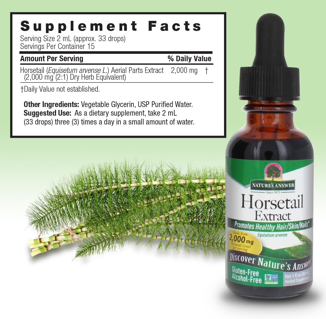 Alcohol-Free Nature's Answer Horsetail Extract 1 Oz - Super Concentrated for Healthy Hair, Skin, and Nails
