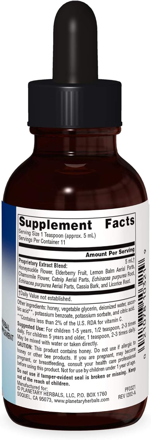 Alcohol-Free Planetary Herbals Well Child Echinacea-Elderberry Herbal Syrup - 2 fl oz