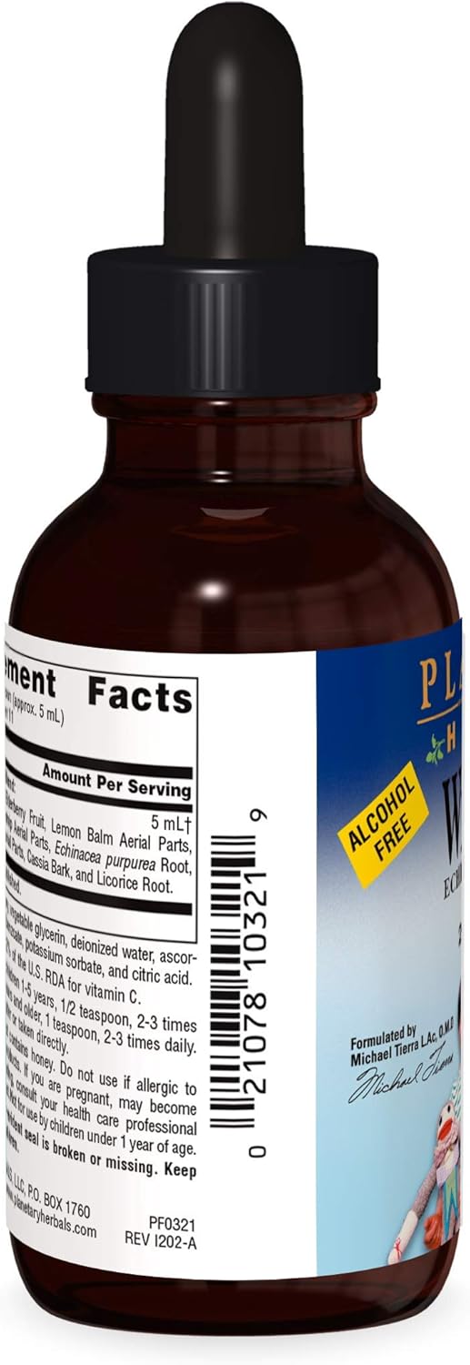Alcohol-Free Planetary Herbals Well Child Echinacea-Elderberry Herbal Syrup - 2 fl oz