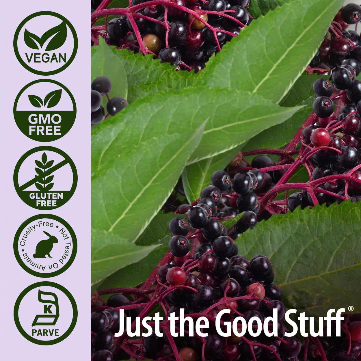 Alcohol-Free Sambucus Black Elderberry Extract 8oz for Immune Support by Nature's Answer