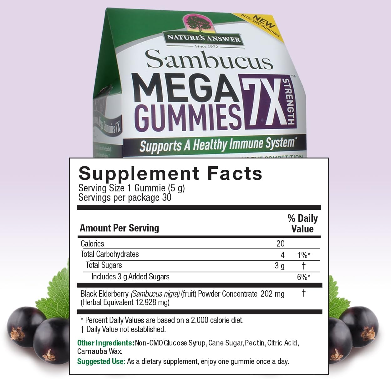 Alcohol-Free Sambucus Mega Gummies 30-Gummies 2 Pack | High Elderberry Concentration | Immune Support | Gluten-Free, Vegan, Non-GMO