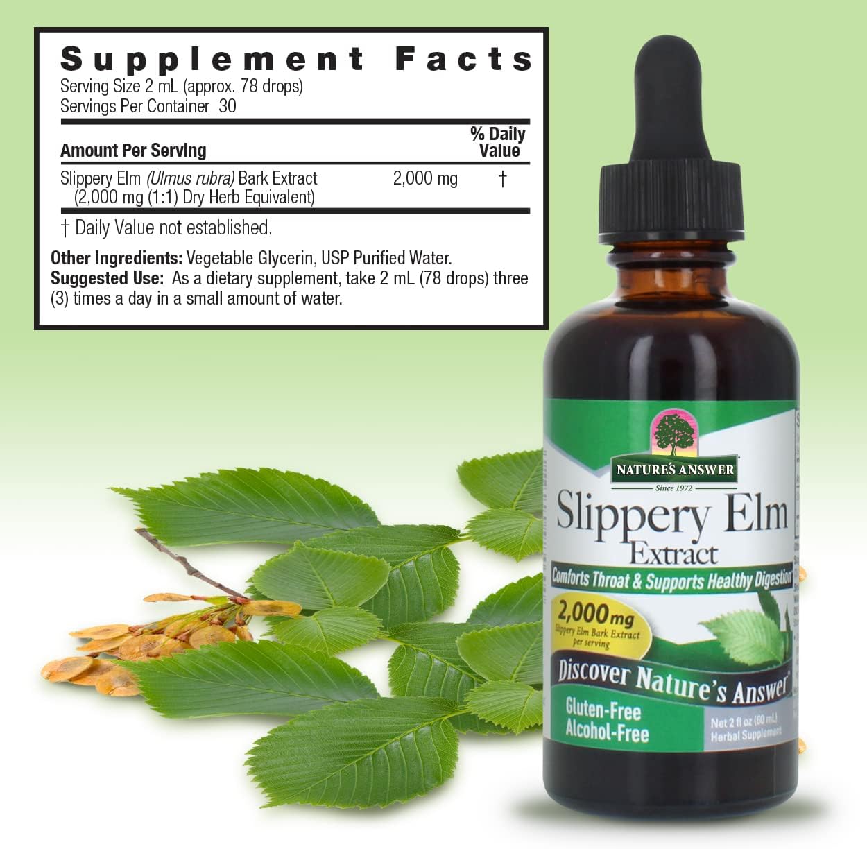 Alcohol-Free Slippery Elm Extract for Overall Wellness & Women's Health - 2oz - Made in USA - Single Count