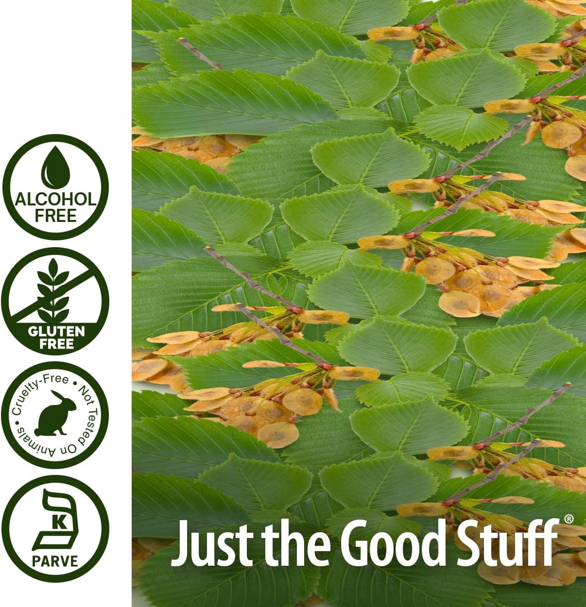 Alcohol-Free Slippery Elm Extract for Overall Wellness & Women's Health - 2oz - Made in USA - Single Count