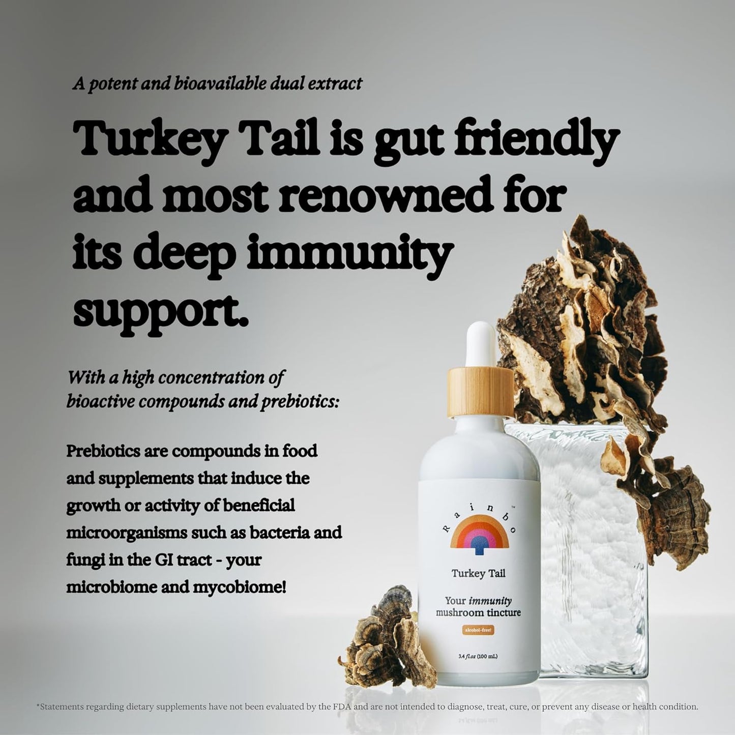 Alcohol-Free Turkey Tail Mushroom Tincture for Immune Support & Gut Health - 3.4 fl oz Vegan Liquid Supplement