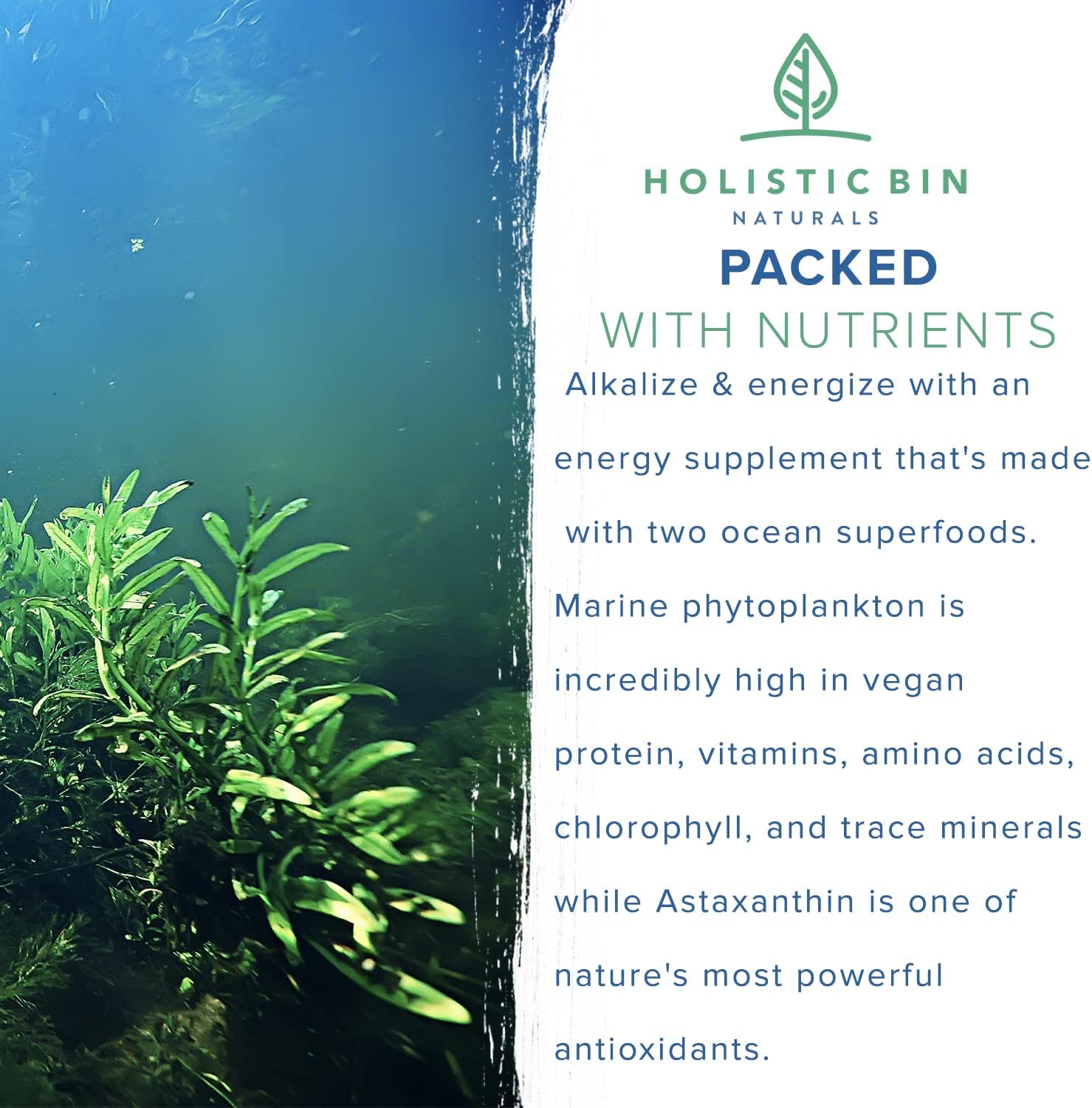 Alkaline Rock Stars Blue Green & Red Algae Supplement - 500mg Capsules with Marine Phytoplankton & Astaxanthin | Antioxidant-Rich Vegan Omega 3 Source | 30 Day Supply