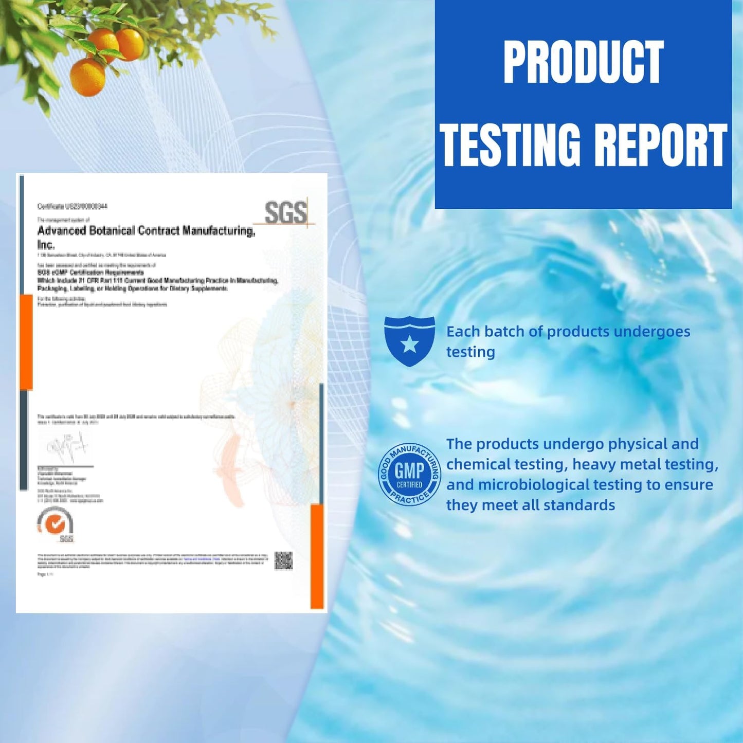 All-in-One Support Multivitamin with 21 Vitamins & Minerals, Vitamin A, K2, D3, Calcium, Zinc - Made in USA, 20 Capsules