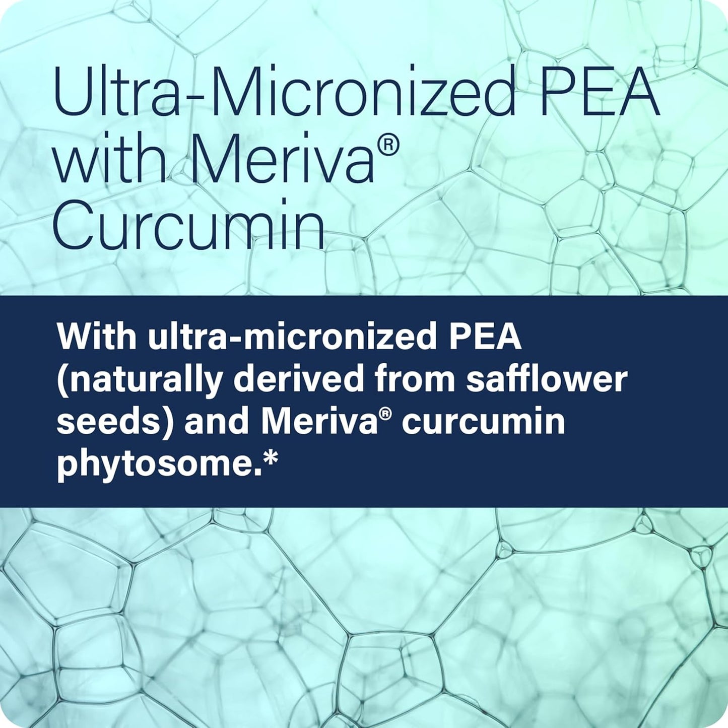 All-Natural Enzyme Science Pea+ Capsules with Meriva Curcumin for Physiological Support of Nervous, Immune, & Muscular Systems - 120 Count