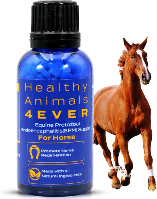 All-Natural Equine Protozoal Myeloencephalitis (EPM) Support Supplements - Reduce Weakness & Ataxia - Highly Effective - 300 Tablets