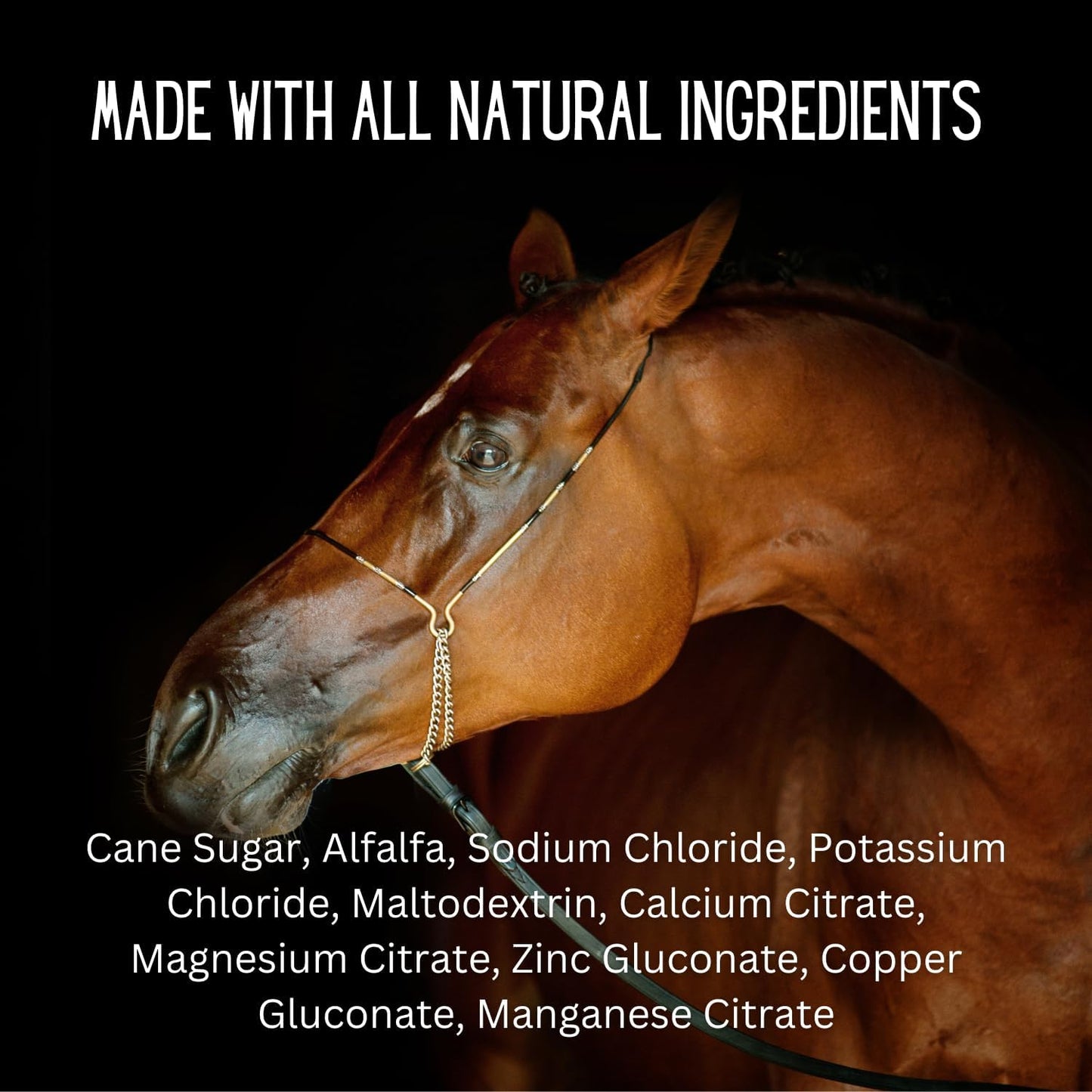 All-Natural Gallagher's Equine Hydration Treat Powder Mix for Horses - Encourages Water Consumption, FEI Compliant, 120 Pack