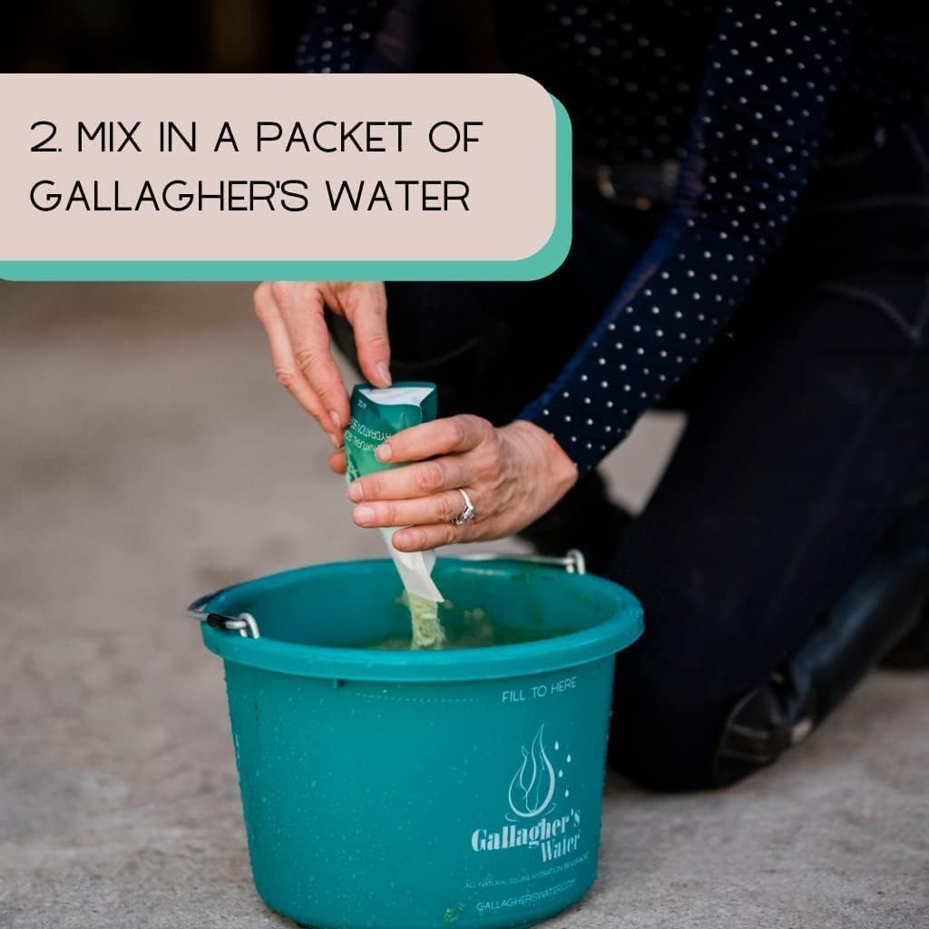 All-Natural Gallagher's Equine Hydration Treat Powder Mix for Horses - Encourages Water Consumption, FEI Compliant, 120 Pack