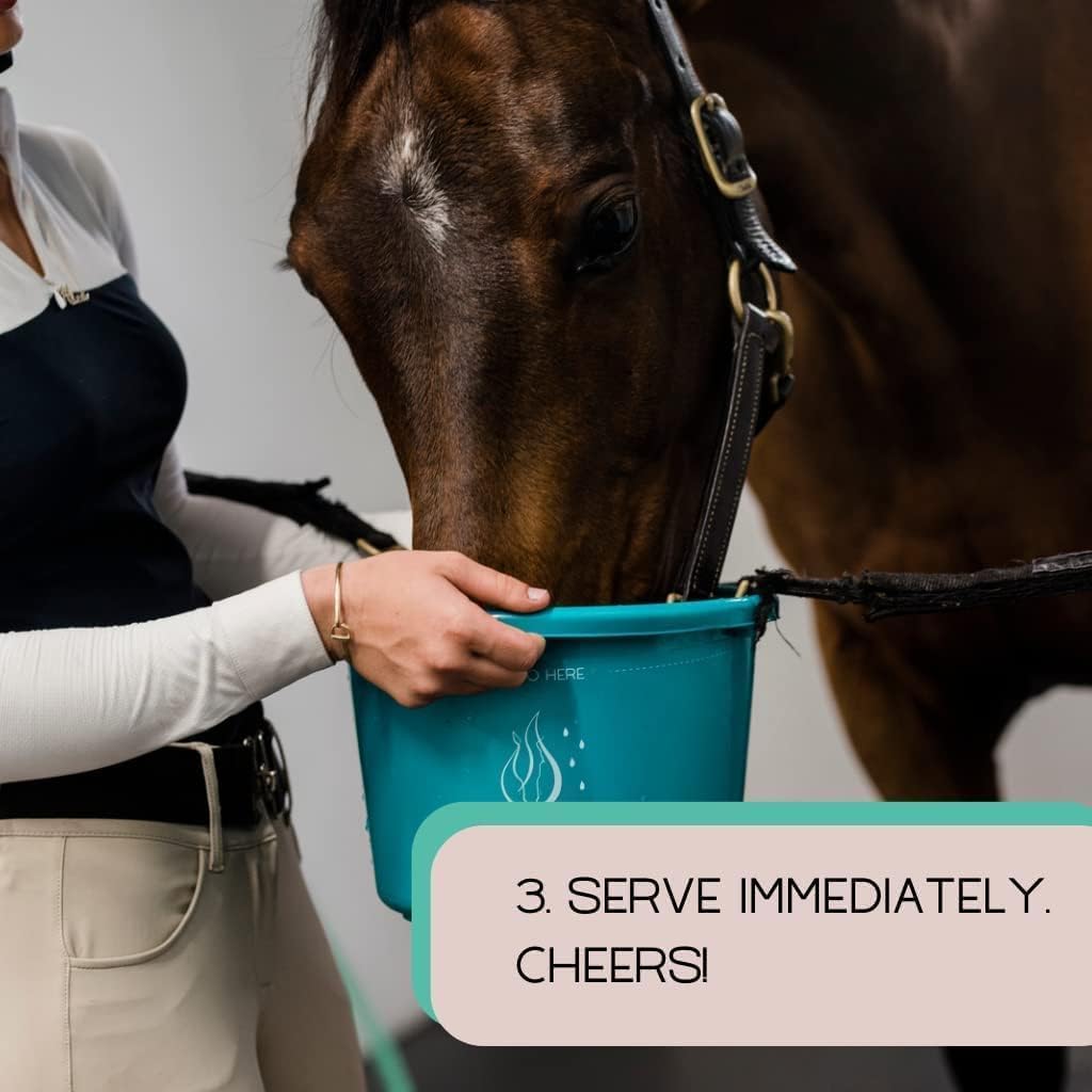 All-Natural Gallagher's Equine Hydration Treat Powder Mix for Horses - Encourages Water Consumption, FEI Compliant, 120 Pack