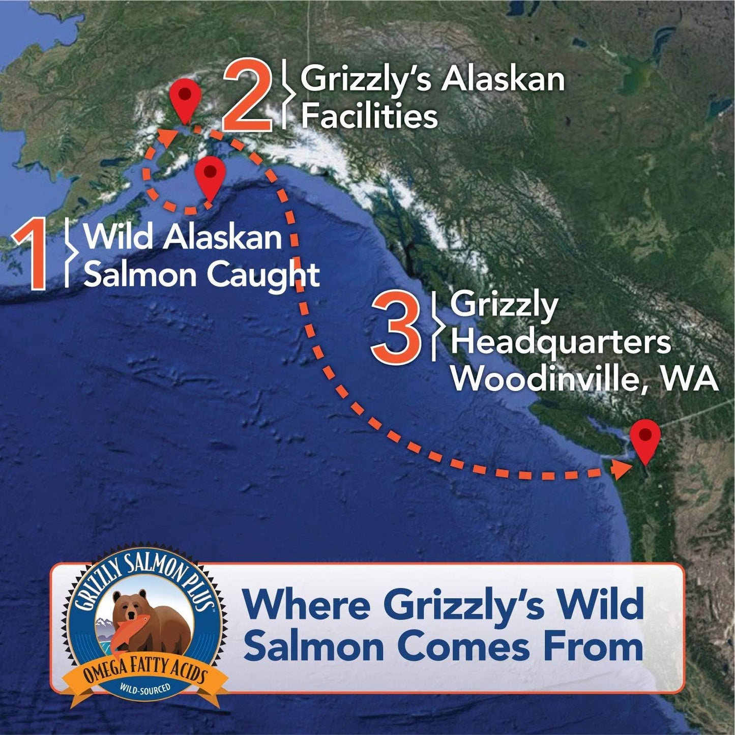 All-Natural Grizzly Salmon Oil Cat Food Supplement 4 oz - Omega 3 Fatty Acids
