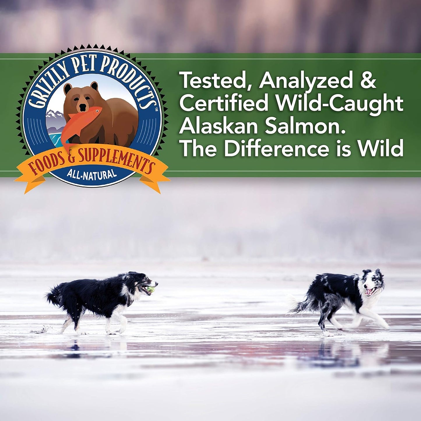 All-Natural Grizzly Salmon Oil Cat Food Supplement 4 oz - Omega 3 Fatty Acids
