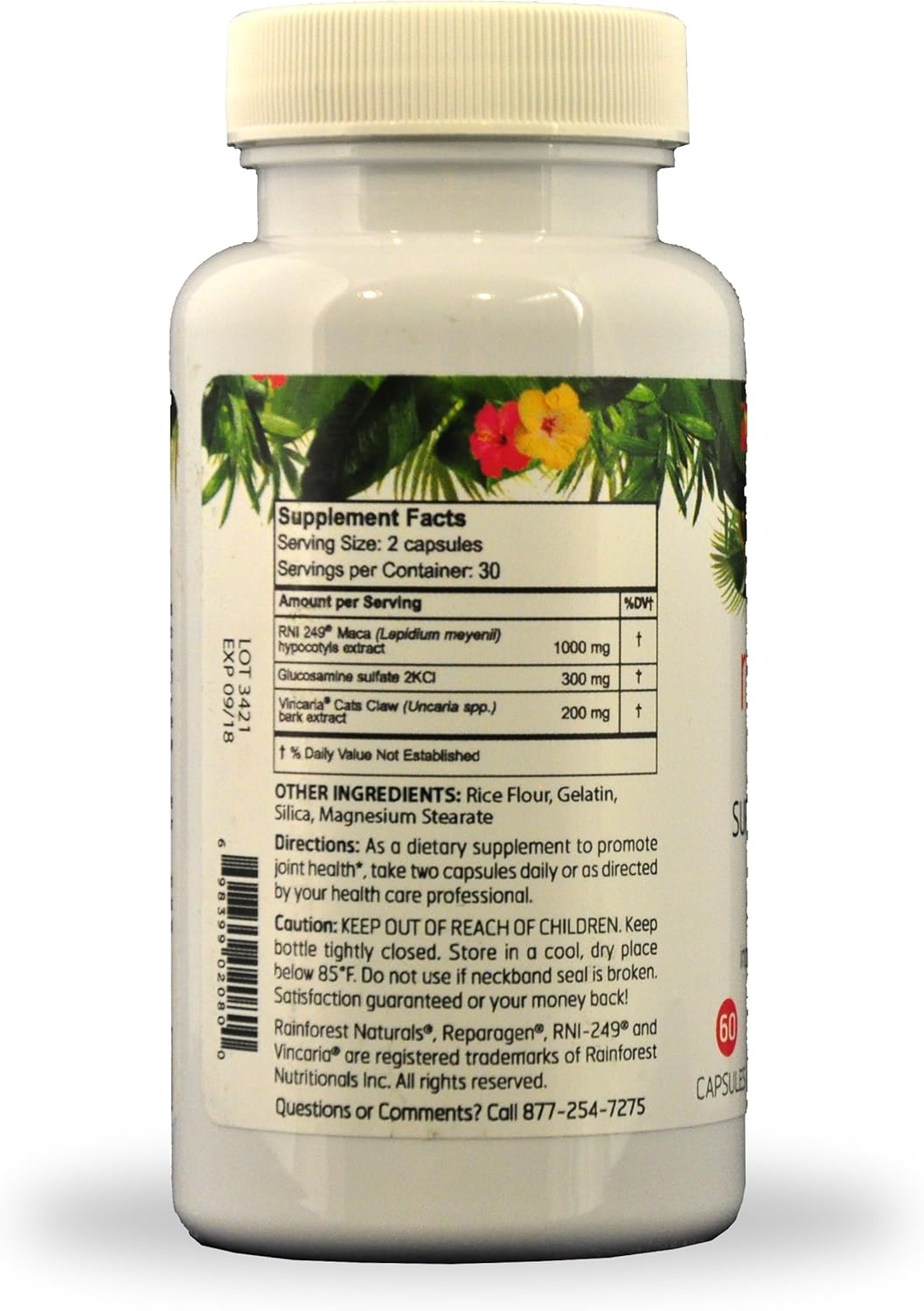 All-Natural Joint Health Supplement: Rainforest Nutritionals Inc. Reparagen Plus Glucosamine - Fast-Acting Formula (60 Capsules)