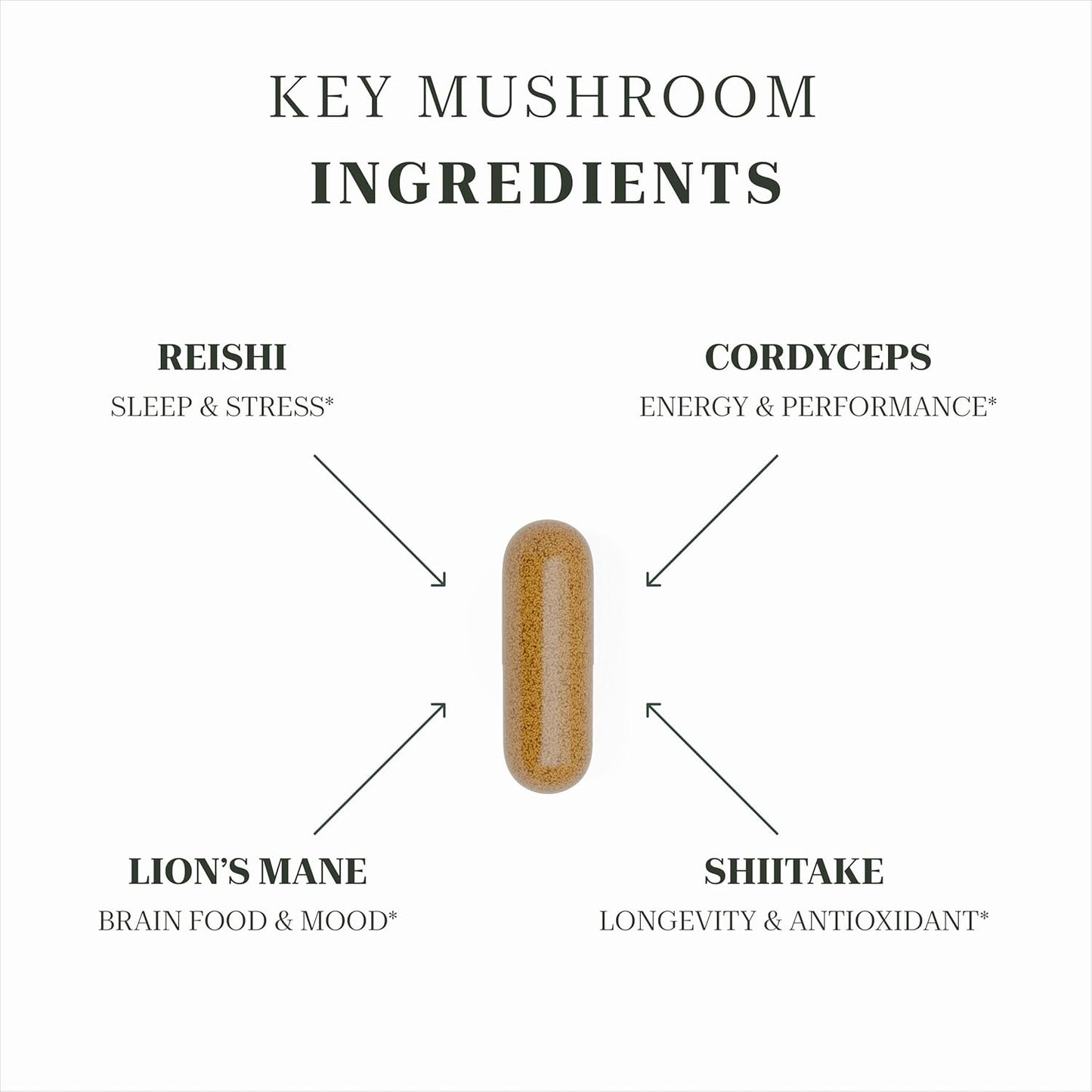 All-Natural Lion’s Mane Mushroom Supplement for Immune Support, Brain Health, Energy & Longevity - Vegan Nootropic with Reishi, Shiitake, Maitake - Non-GMO, Gluten-Free - 60 Capsules - BoostGo Australia