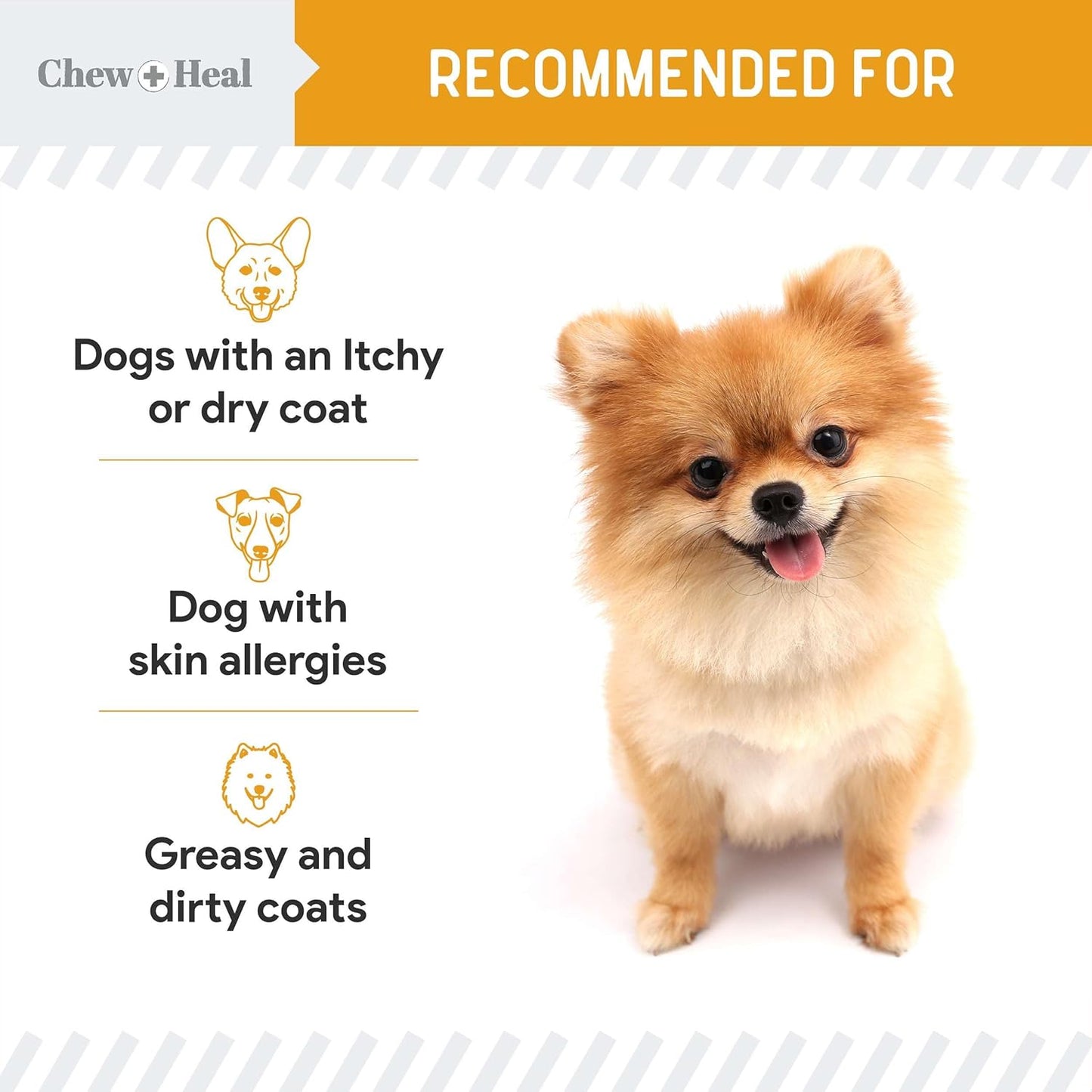 All-Natural Salmon Oil Liquid for Dogs and Cats - Omega-Rich Supplement for Healthy Skin, Coat, Joints, and Immune Support - Premium Pet Care from Chew + Heal Labs, Made in USA - 32 oz