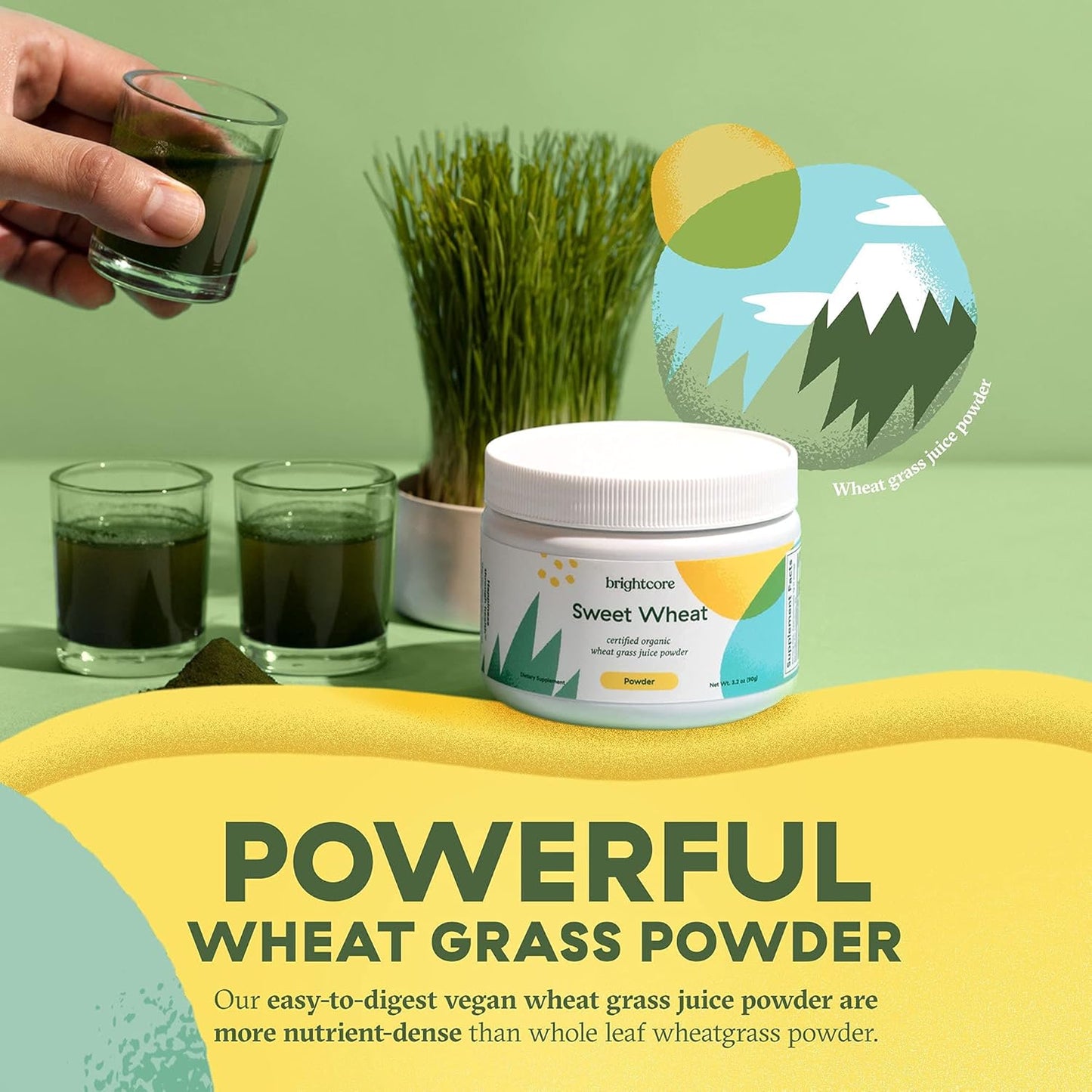 All-Natural Sweet Wheat Wheatgrass Juice Powder for Digestive Health and Immune Boost, Easy-to-Mix Athletic Greens - 90 Grams