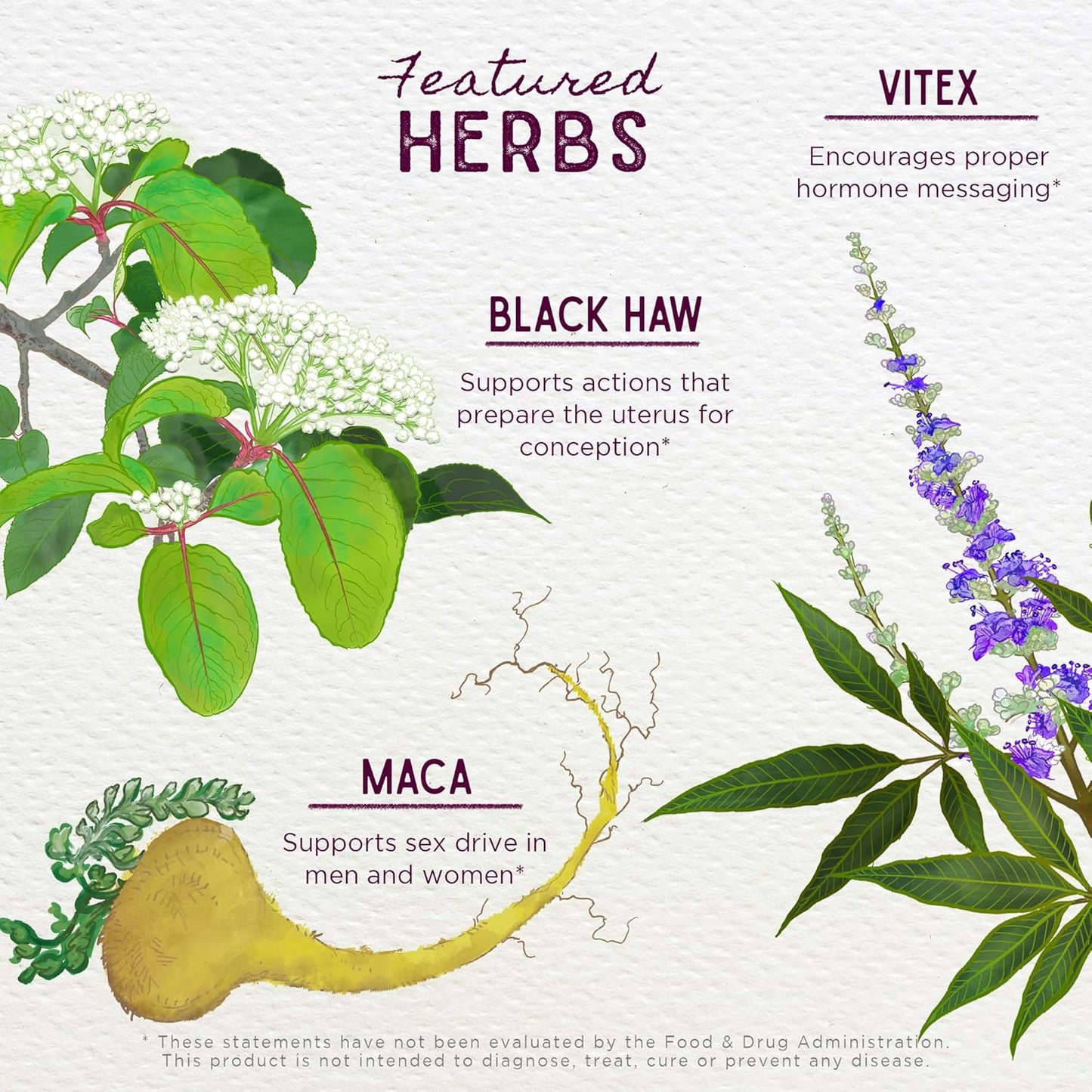 All-Natural Women's Fertility Herbal Supplement with Vitex, Red Maca & Raspberry Leaf for Healthy Hormone Balance & Reproductive Function