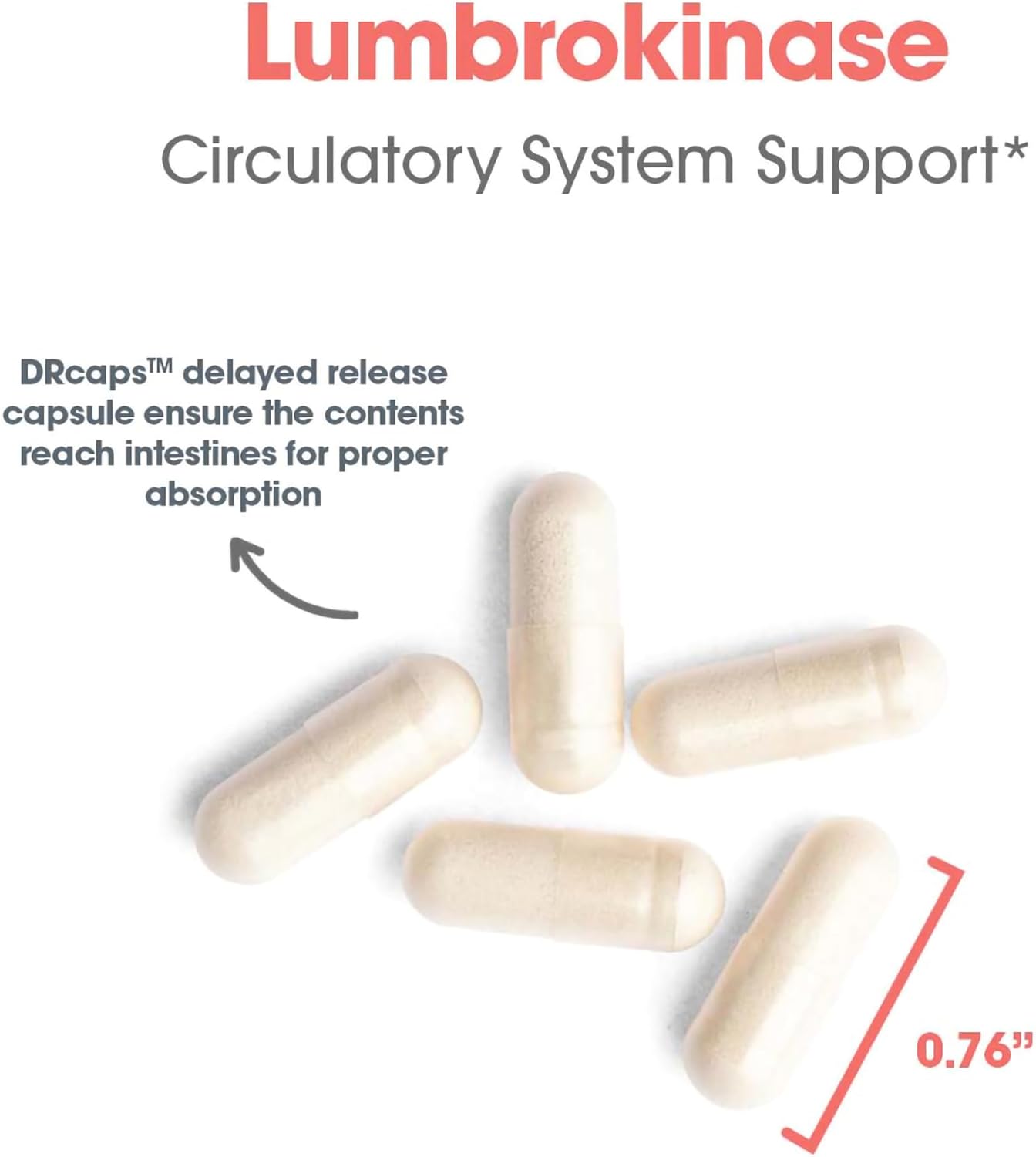 Allergy Research Group Lumbrokinase Supplement - Promotes Healthy Circulation with 30 Delayed Release Vegetarian Capsules