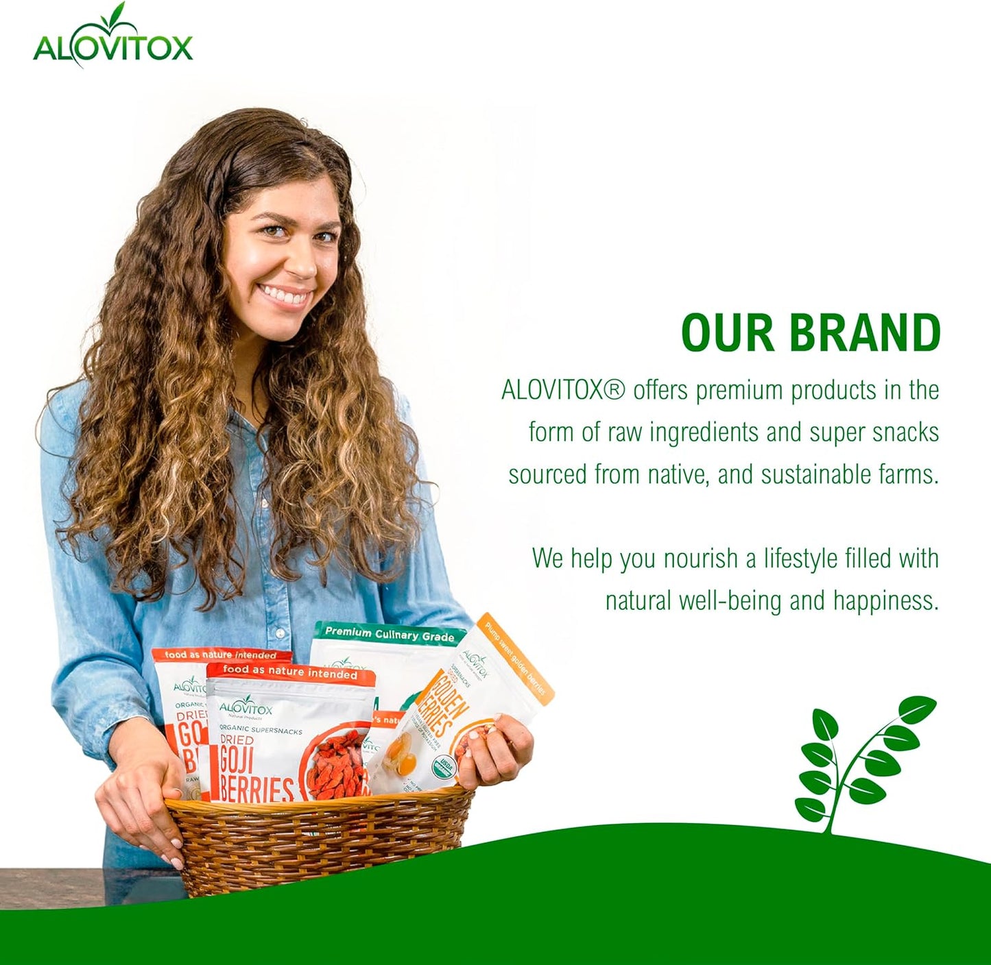 Alovitox Fresh Bee Pollen Powder - 100% Pure Raw Supplement for Immune System Support - Rich in Proteins and Vitamins - Gluten Free, Non-GMO - 16 Oz