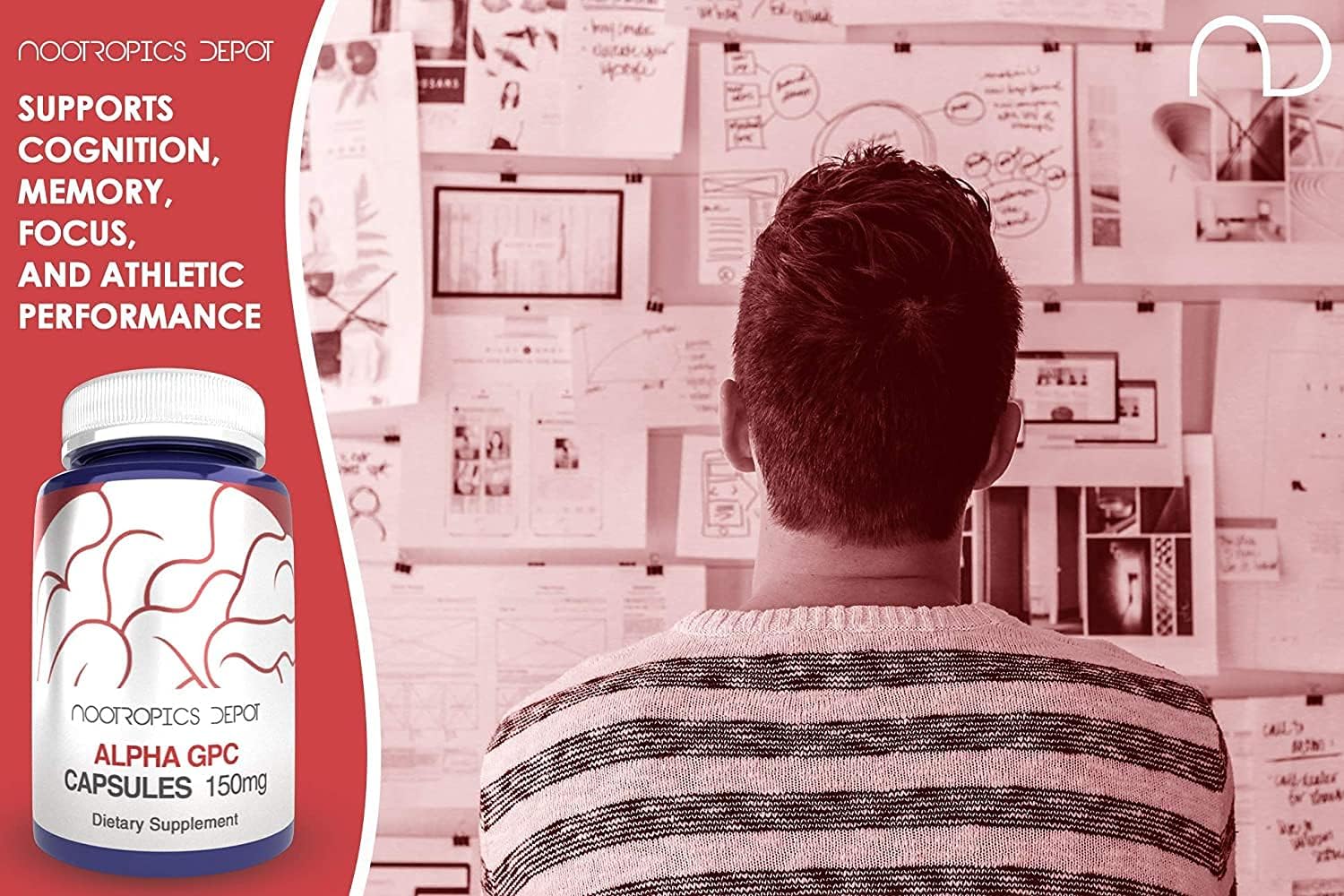 Alpha GPC Capsules 150mg | 60 Count | Choline Brain Health Supplement | Supports Cognitive Function, Memory, Focus