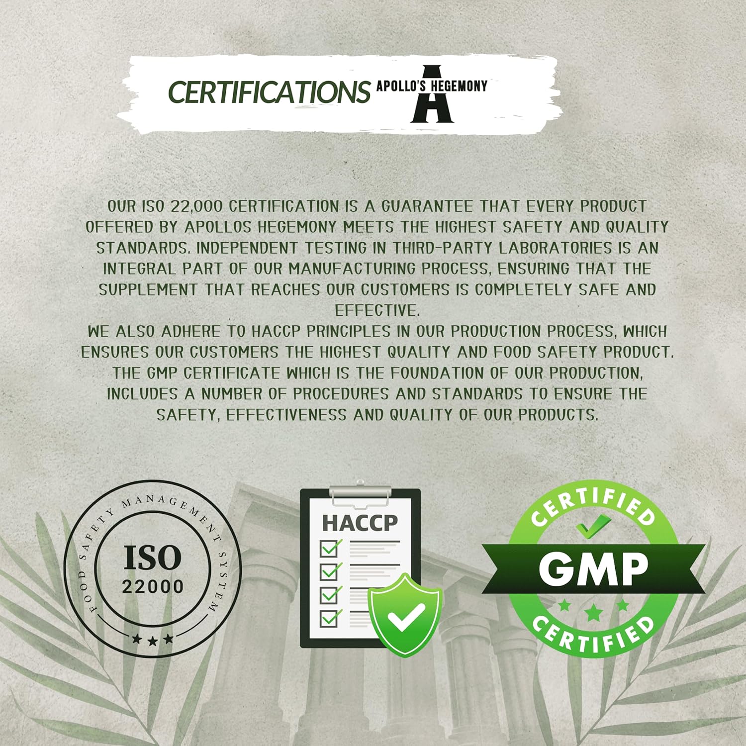 Alpha-GPC Choline Capsules - 600mg per Daily Dose - 90 Vegan Capsules - Memory and Concentration Supplement