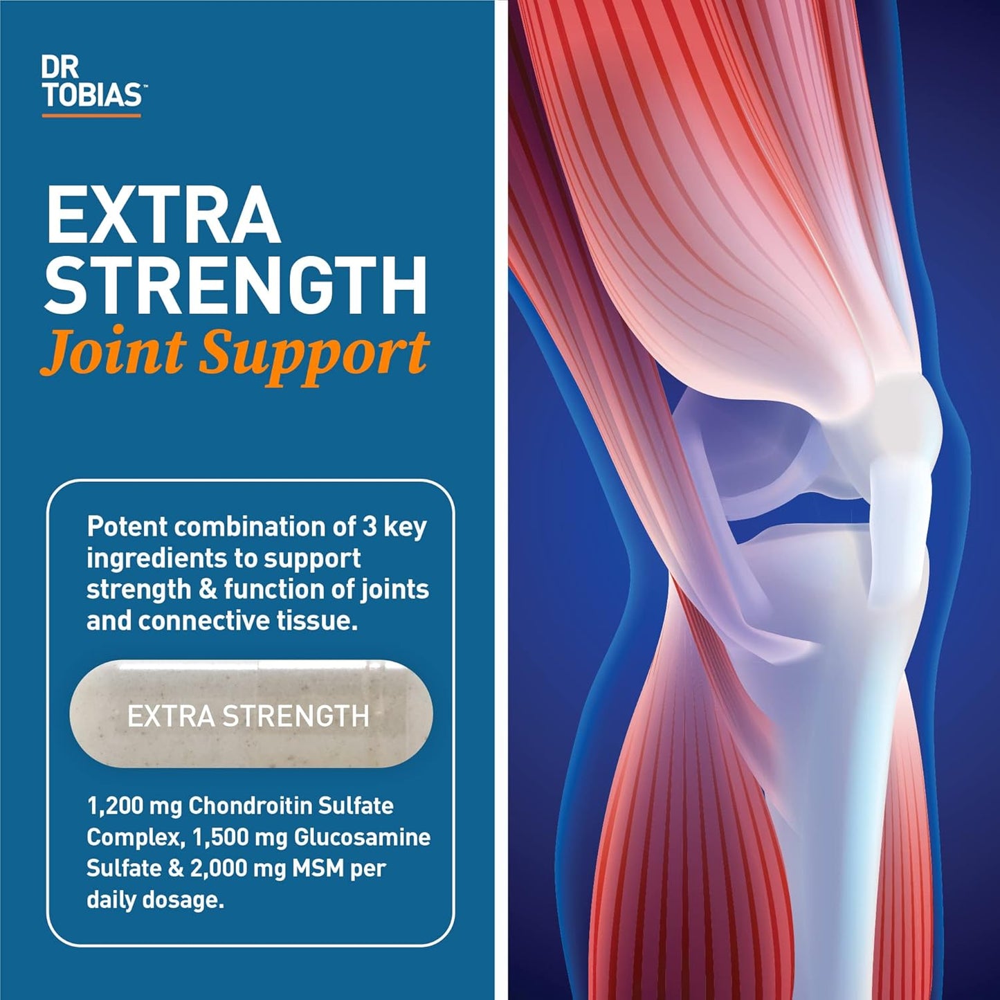 Alpha GPC & Joint Support Supplement - Boost Cognitive Function & Joint Health with Premium Ingredients