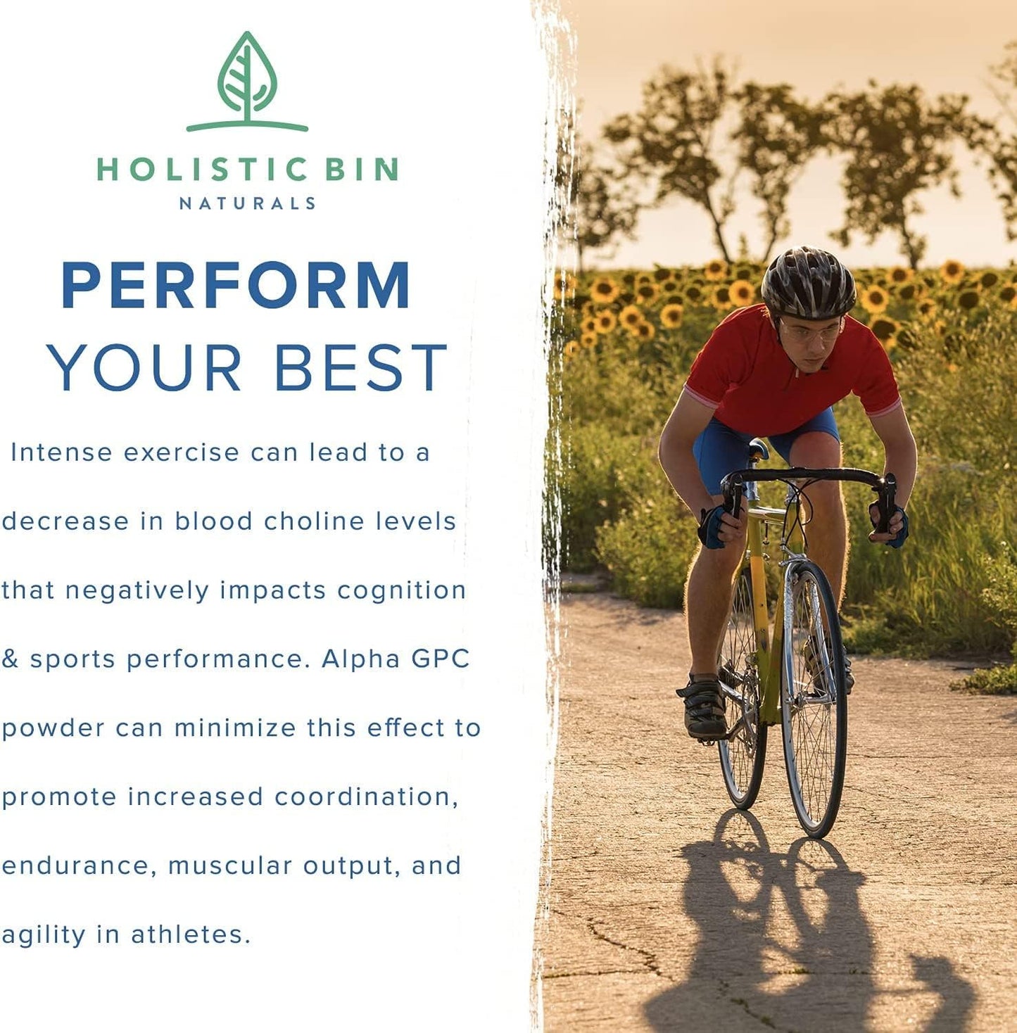 AlphaSize® GPC Powder: Holistic Bioavailable Choline Supplement for Memory & Endurance