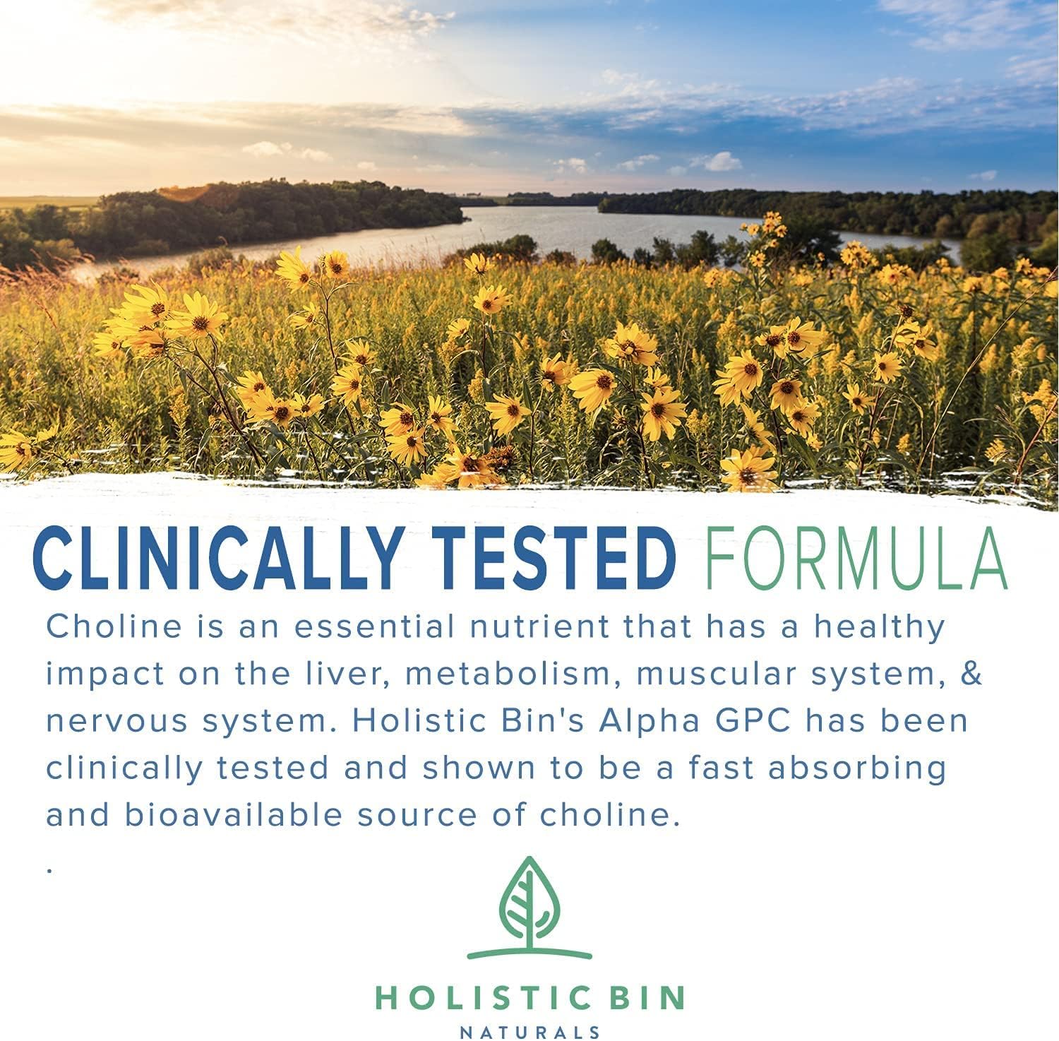 AlphaSize® GPC Powder: Holistic Bioavailable Choline Supplement for Memory & Endurance