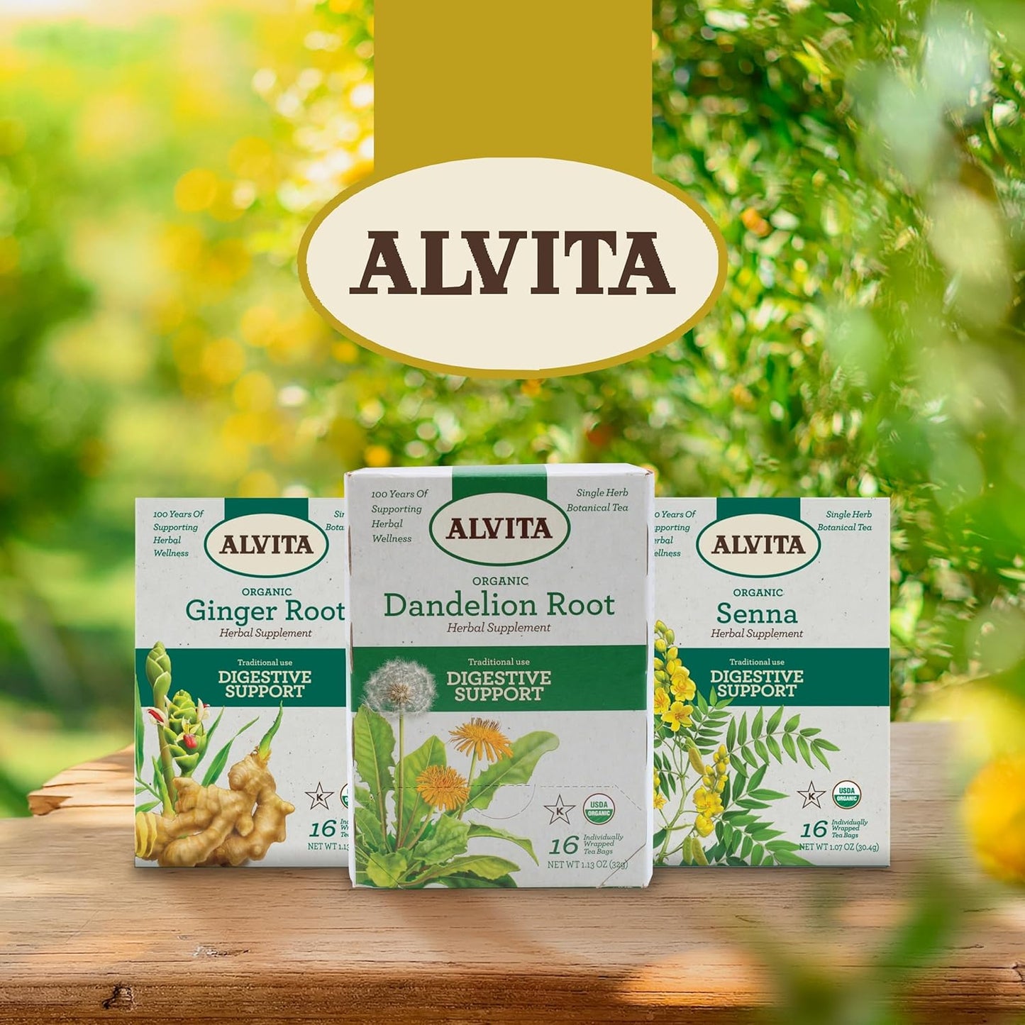 ALVITA Organic Nettle Tea - Herbal Stinging Nettle Leaf Tea for Cleansing, Detox, and Joint Health - 48 Tea Bags (3 Pack)