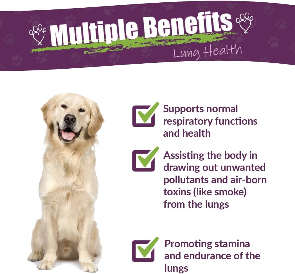 Amber NaturalZ Numo Care Herbal Supplement for Dogs | Supports Bronchial Health & Respiratory Function | 1 oz Glass Bottle | Made in USA