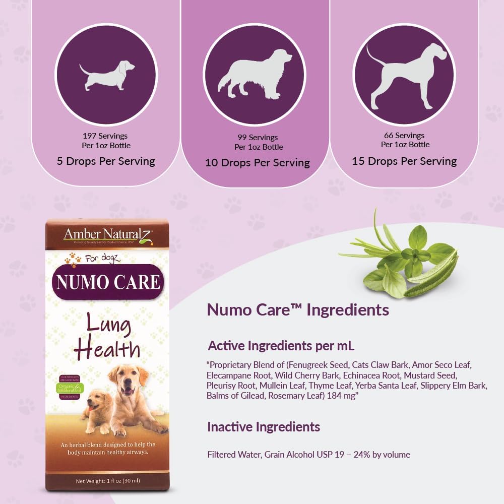 Amber NaturalZ Numo Care Herbal Supplement for Dogs | Supports Bronchial Health & Respiratory Function | 1 oz Glass Bottle | Made in USA