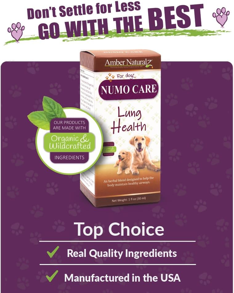 Amber NaturalZ Numo Care Herbal Supplement for Dogs | Supports Bronchial Health & Respiratory Function | 1 oz Glass Bottle | Made in USA