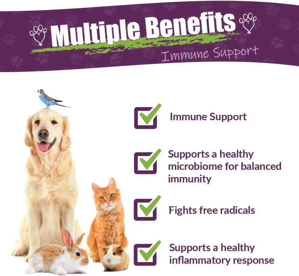 Amber NaturalZ Vibactra Immune Support Herbal Supplement for Pets | Pet Herbal Blend for Overall Health | 4 fl oz Glass Bottle | Made in USA