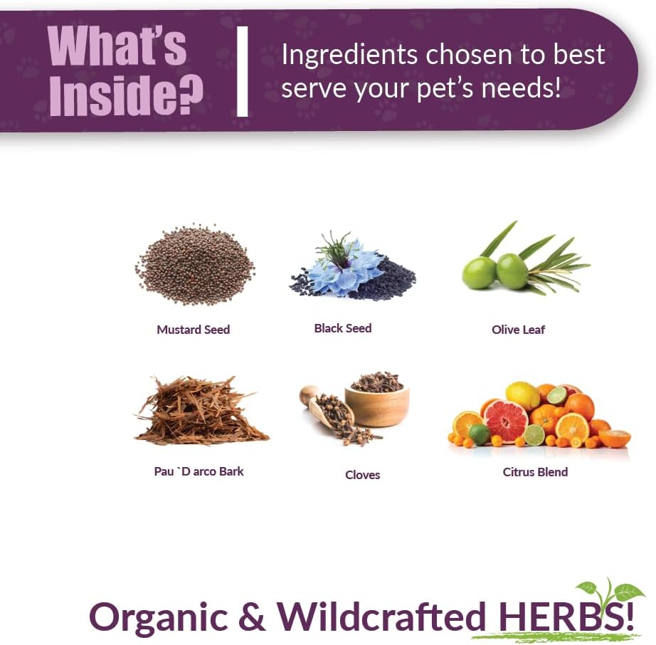 Amber NaturalZ Vibactra Immune Support Herbal Supplement for Pets | Pet Herbal Blend for Overall Health | 4 fl oz Glass Bottle | Made in USA