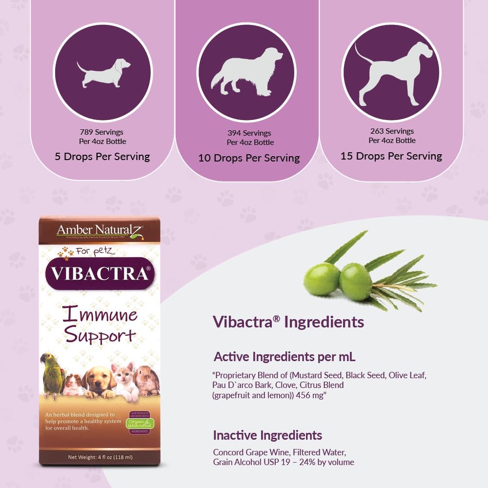Amber NaturalZ Vibactra Immune Support Herbal Supplement for Pets | Pet Herbal Blend for Overall Health | 4 fl oz Glass Bottle | Made in USA