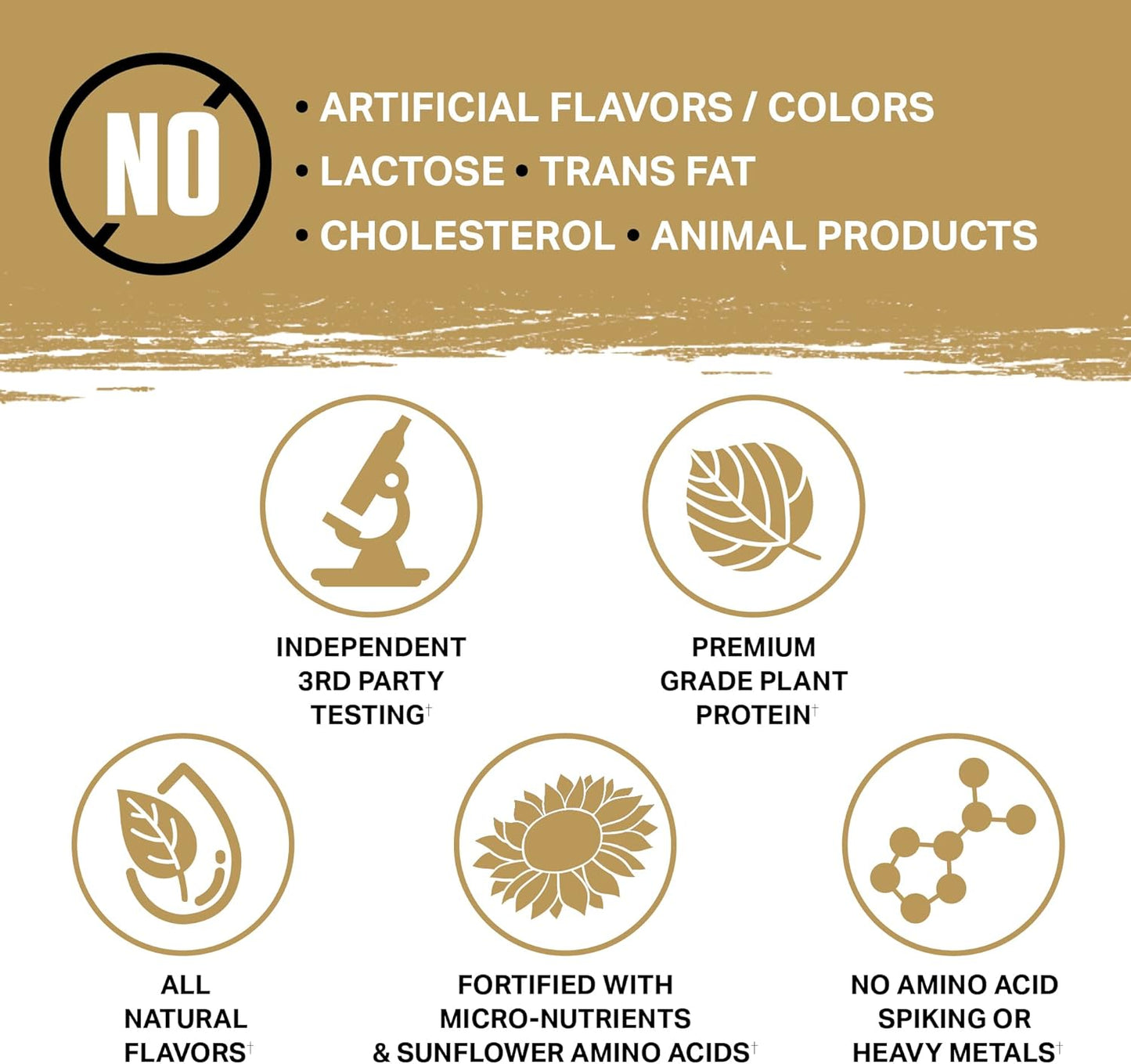 Ambrosia Planta Organic Plant-Based Protein - Vegan, Keto Friendly, Gourmet Flavors, No Bloating, Gluten & Soy Free, No Sugar - 25 Servings, Campfire Smores