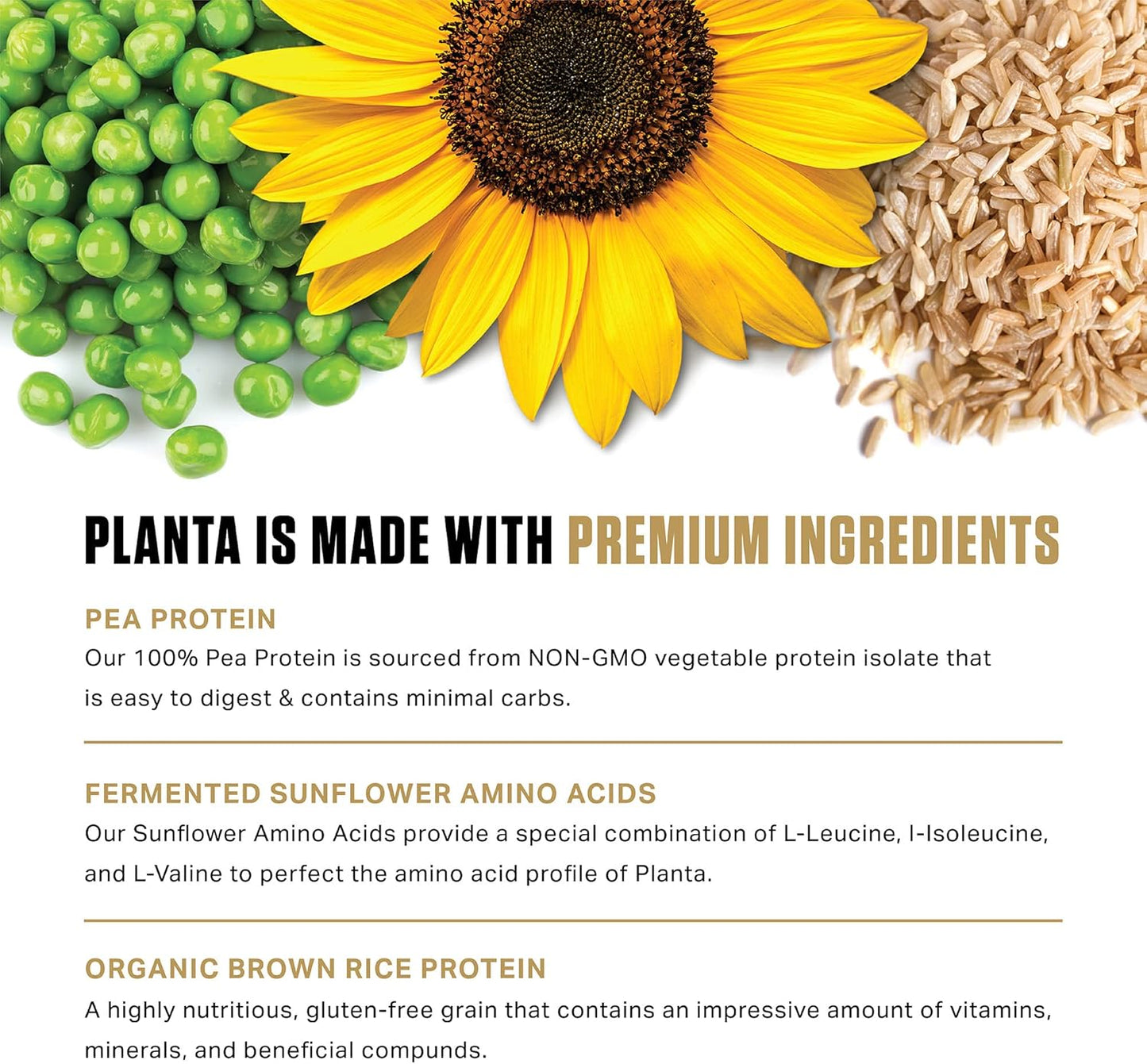 Ambrosia Planta Organic Plant-Based Protein Powder - Vegan & Keto Friendly, Gourmet Cinnamon Roll Flavor, No Bloating, Gluten/Soy/Sugar Free, 25 Servings