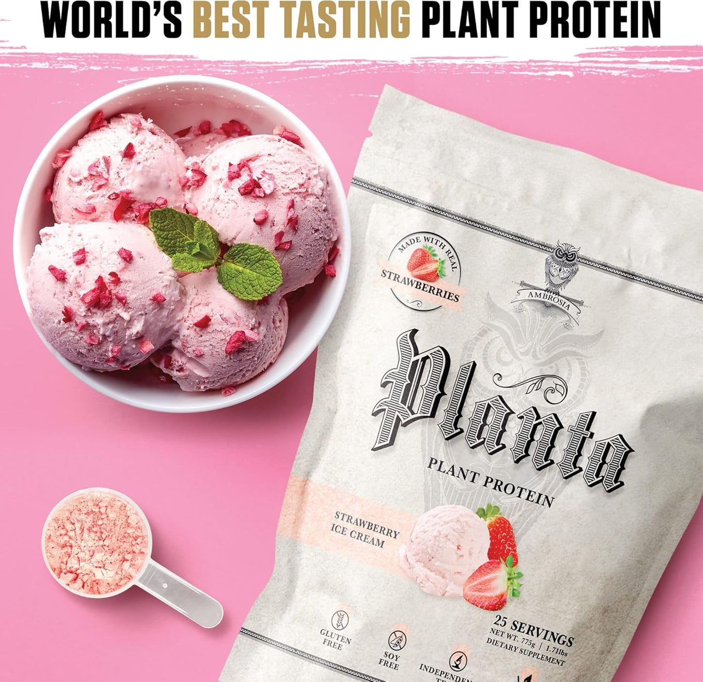 Ambrosia Planta Organic Plant-Based Protein: Vegan, Keto-Friendly, Gourmet Flavors, No Bloating, Gluten & Soy-Free, No Added Sugar - Strawberry Ice Cream Flavor, 25 Servings