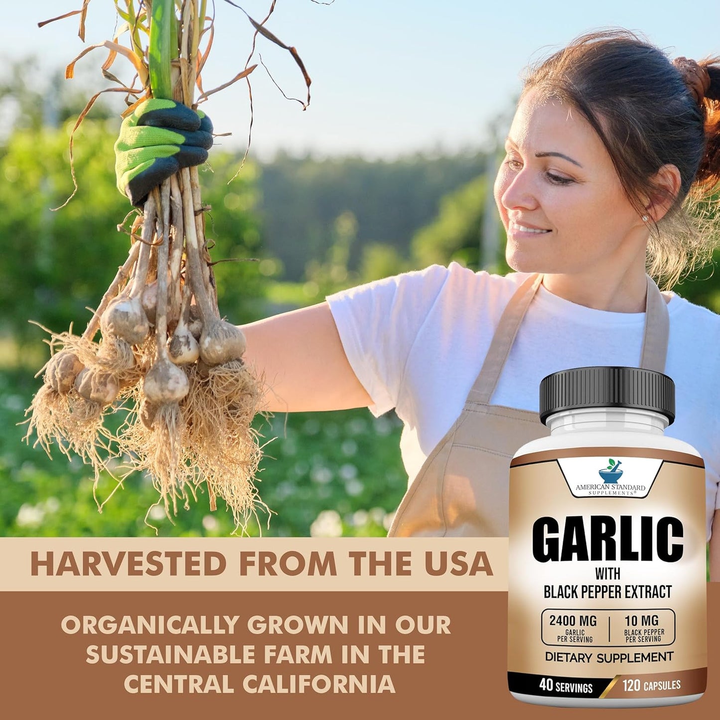 American Standard Garlic Supplement 2400mg with Black Pepper Fruit Extract - Vegan, Gluten-Free, Non-GMO - 120 Capsules