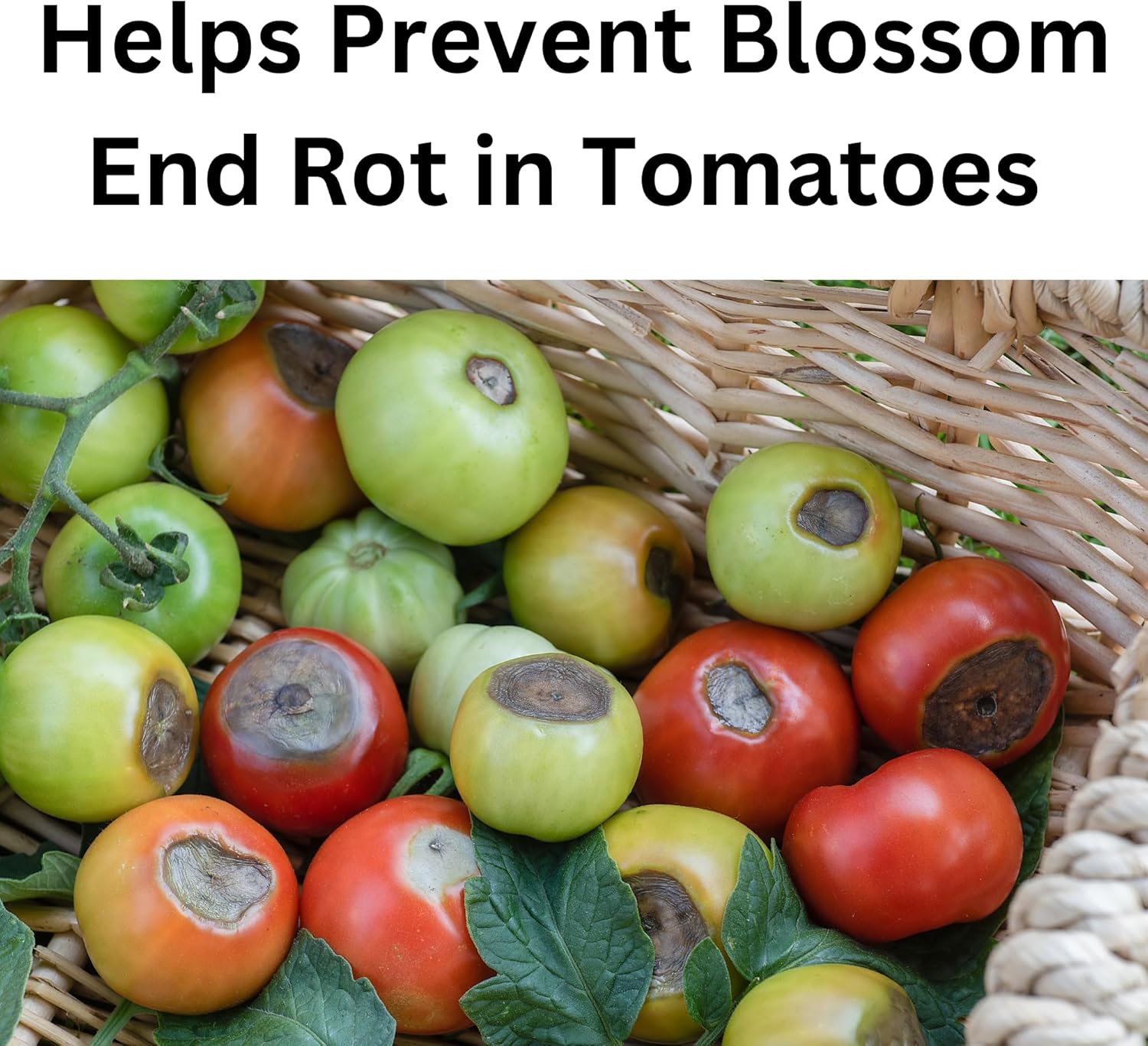 Ammonium Calcium Nitrate Fertilizer 15-0-0 for Tomatoes, 3.25 lbs - Prevents Blossom End Rot