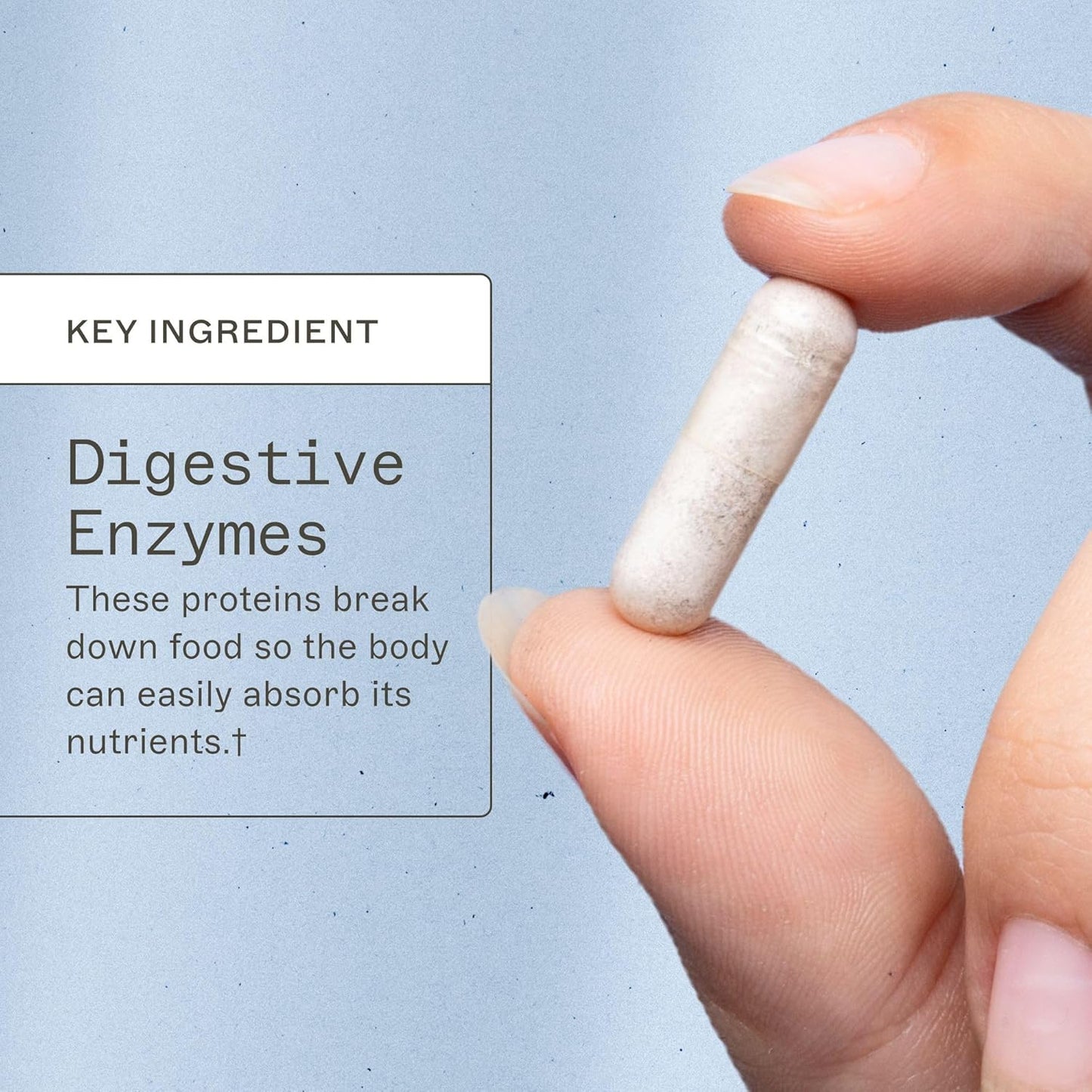 Amy Myers MD Digestive Enzymes - 19 Enzymes for Gut Health, Bloating & Stomach Issues - DPP-IV Protease Amylase Lipase Lactase Sucrase - 120 Capsules to Break Down Protein, Carbs, Sugar, and Fiber