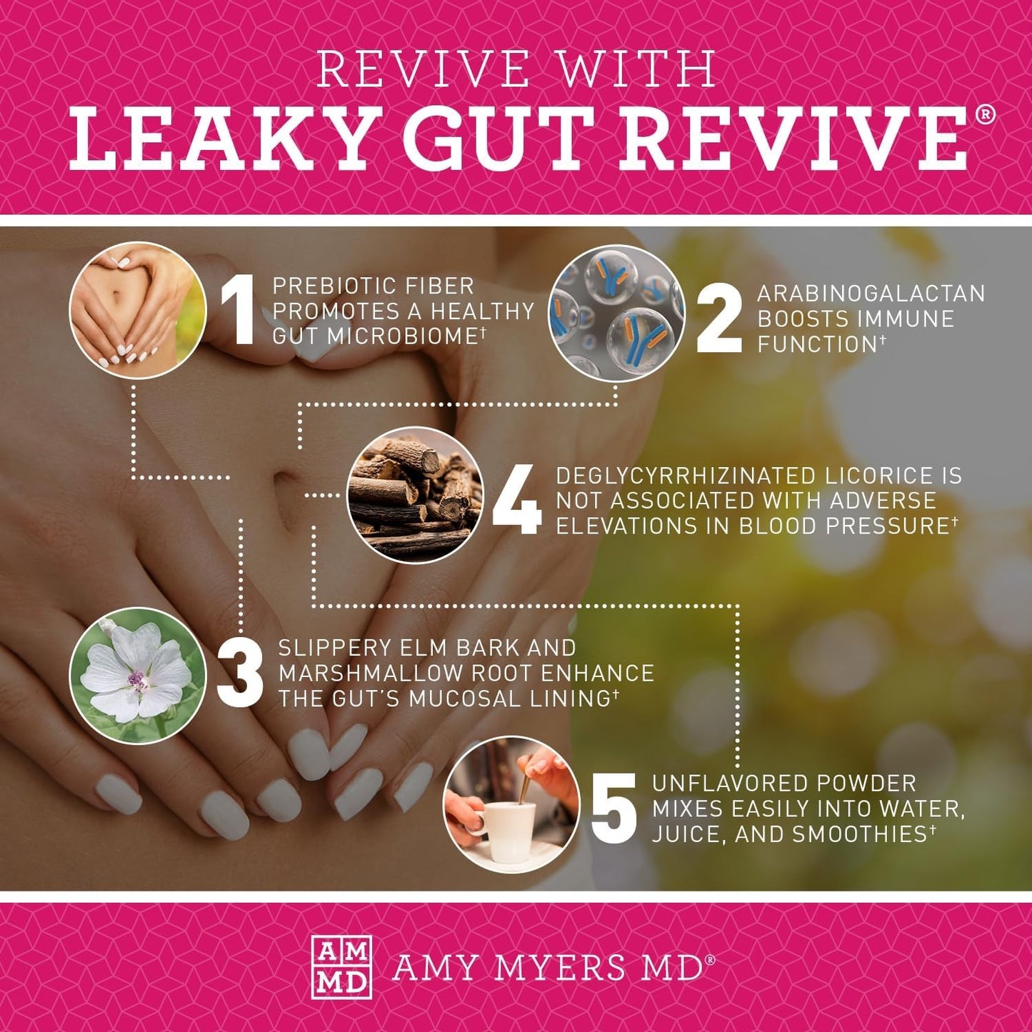 Amy Myers MD Leaky Gut Revive Powder with L Glutamine and Slippery Elm - Supports Gut Repair and Digestive Health - 6.30 Oz Unflavoured Formula for Constipation, Diarrhea, Bloating, Heartburn, and SIBO