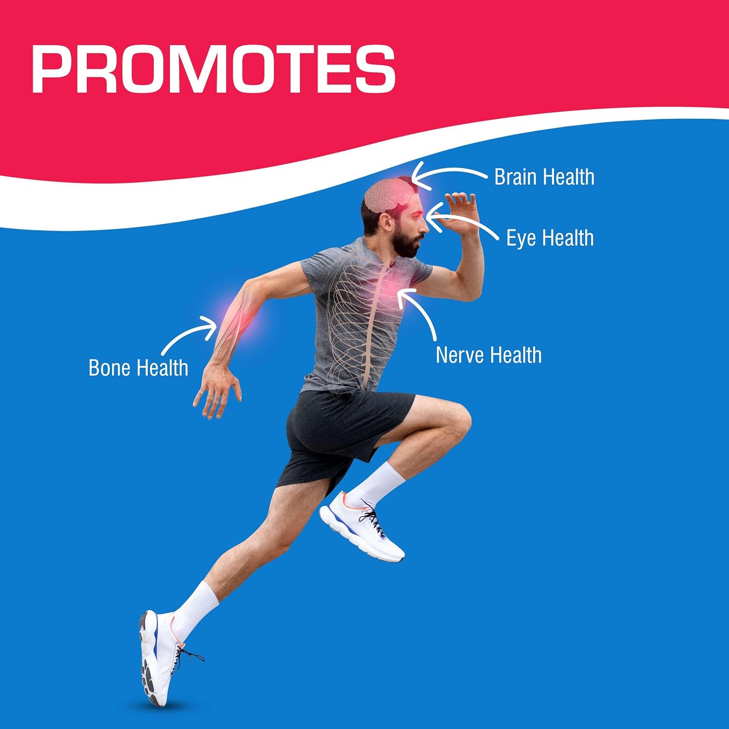 Anabolic Laboratories Methylcobalamin B12 1000mcg Sublingual Lozenges - Energy & Nerve Support for Men & Women - 30 Berry Flavored Count