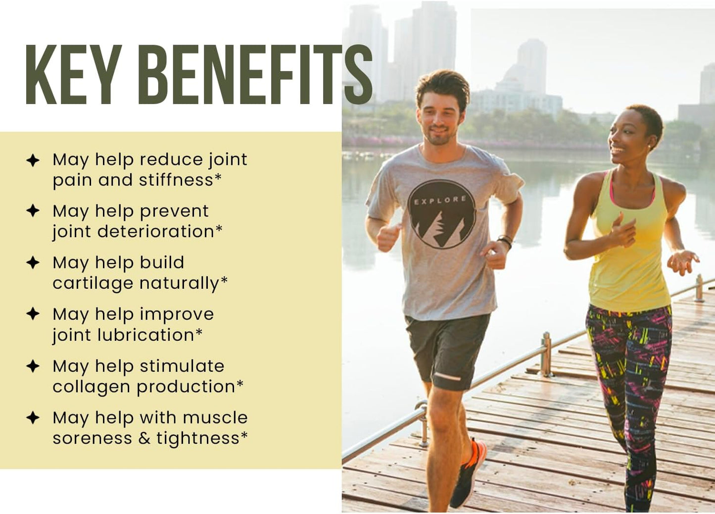 Ancient Bliss Joint Support Supplement with Glucosamine, Chondroitin, MSM - Mobility & Cartilage Formula for Men & Women (90 Capsules)