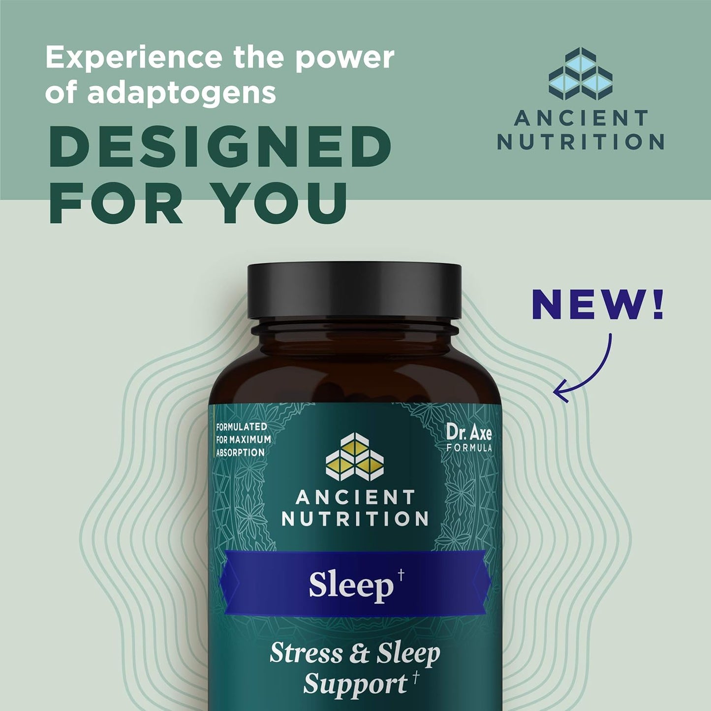 Ancient Nutrition Ashwagandha Capsules for Stress, Sleep Support, Mental Relaxation - Gluten Free, Paleo & Keto Friendly - 60ct