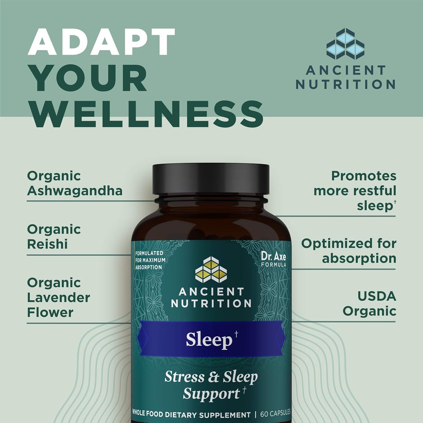 Ancient Nutrition Ashwagandha Capsules for Stress, Sleep Support, Mental Relaxation - Gluten Free, Paleo & Keto Friendly - 60ct