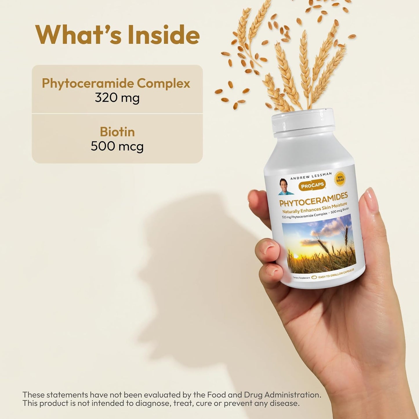 Andrew Lessman Phytoceramides with Biotin 240 Softgels - Natural Internal Moisturizer for Soft, Smooth Skin. Additive-Free, Easy-to-Swallow Softgels - BoostGo Australia