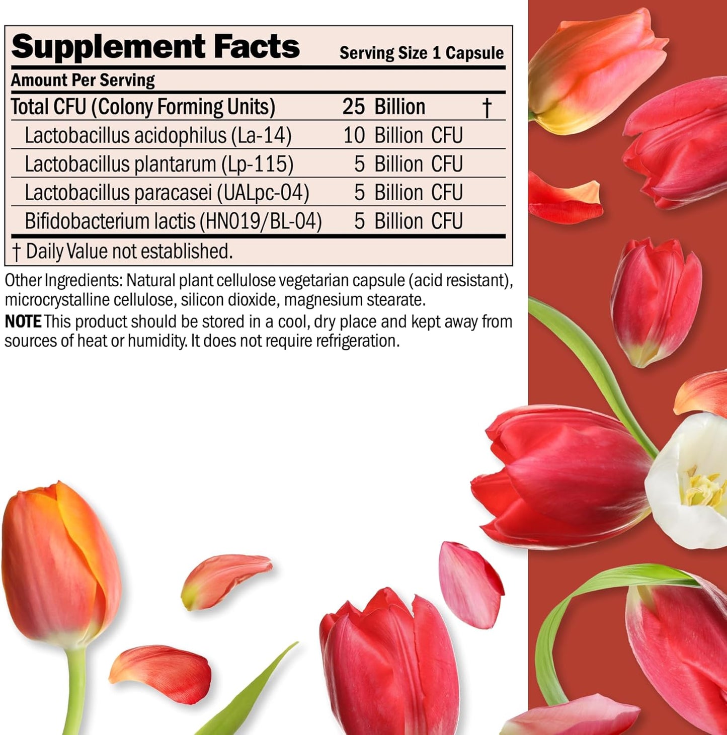 ANDREW LESSMAN Ultimate Friendly Flora Probiotic Capsules - 25 Billion CFU, Comprehensive Blend of Five Strains, Immune and Digestive Support