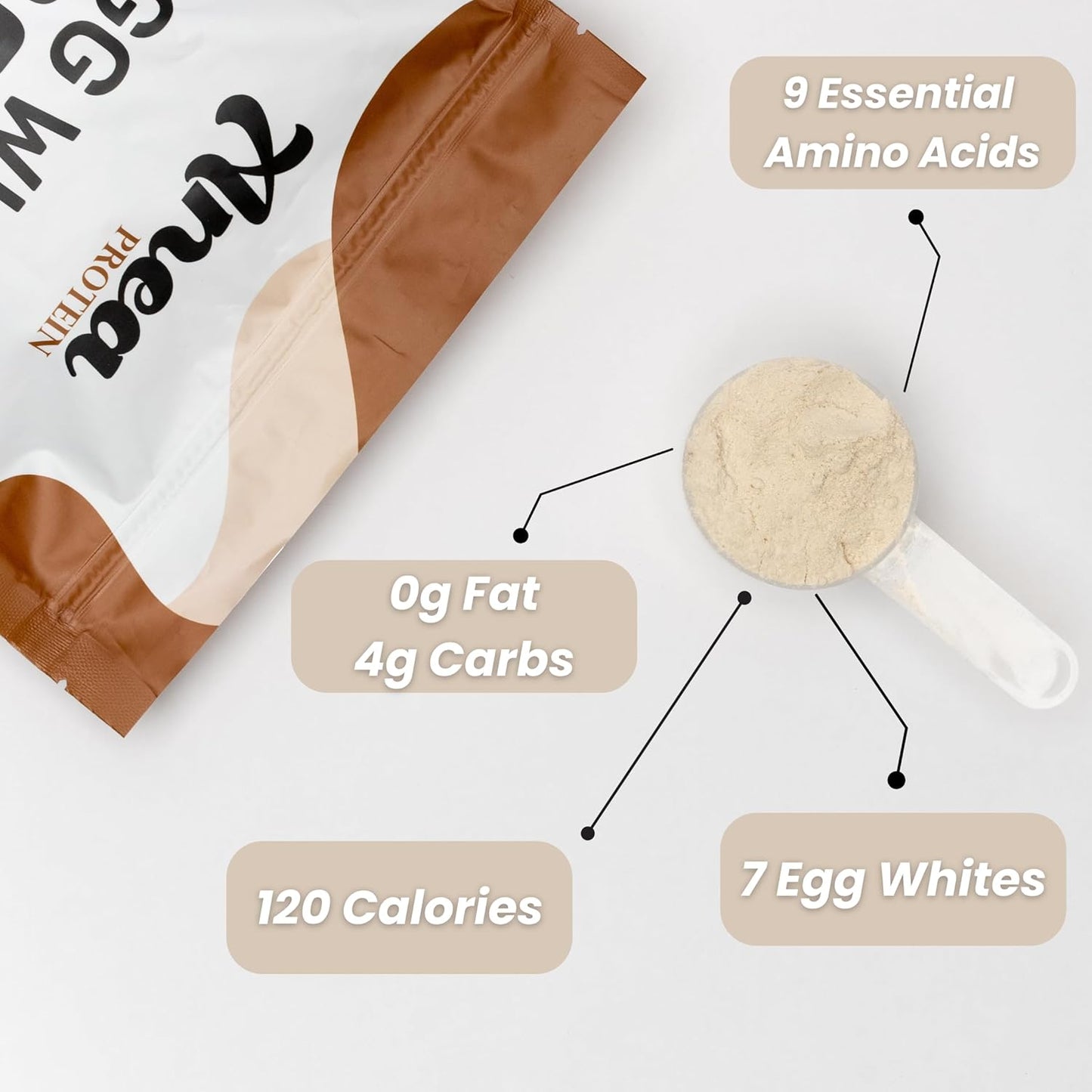Anea Egg White Protein Powder - 25g Protein, Dairy/Gluten/Fat Free, Amino Acids, High Biological Value - Vanilla Flavor - 1.5lb Pack